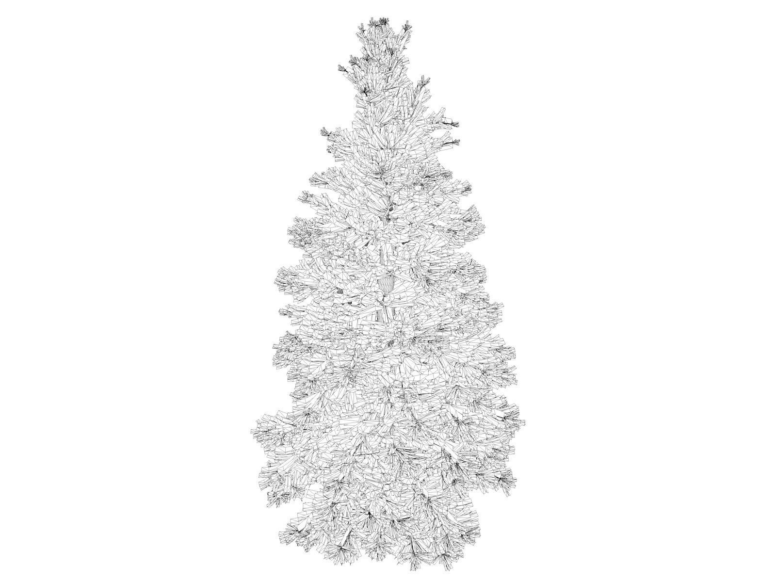 Norway Spruce Tree - 06 - 3D model_1