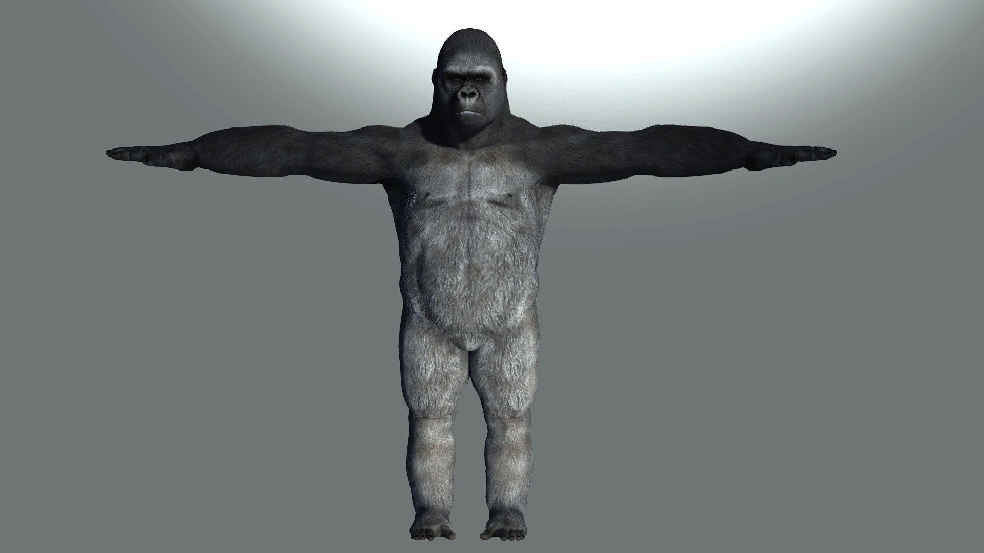 Gorilla Rigged and Blendshapes Low-poly 3D model_11
