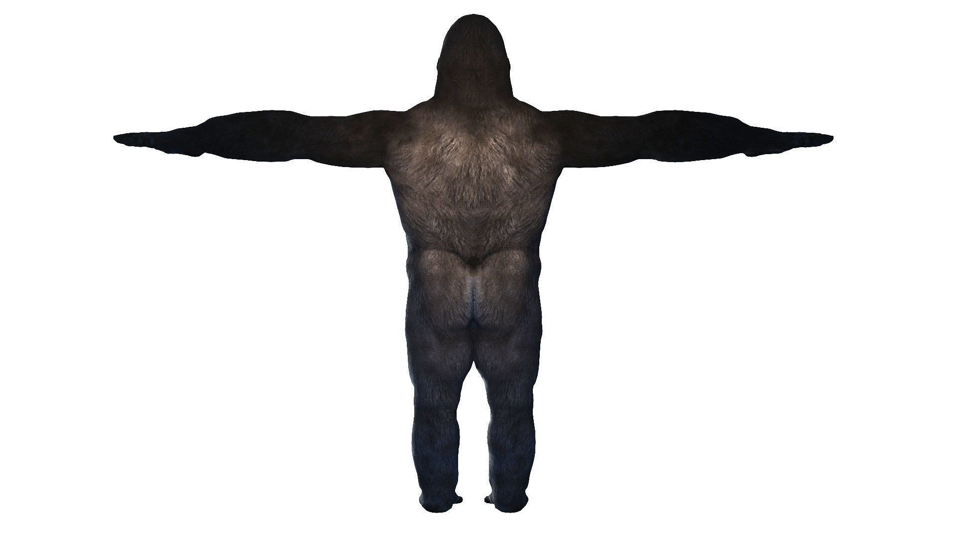 Gorilla Rigged and Blendshapes Low-poly 3D model_5