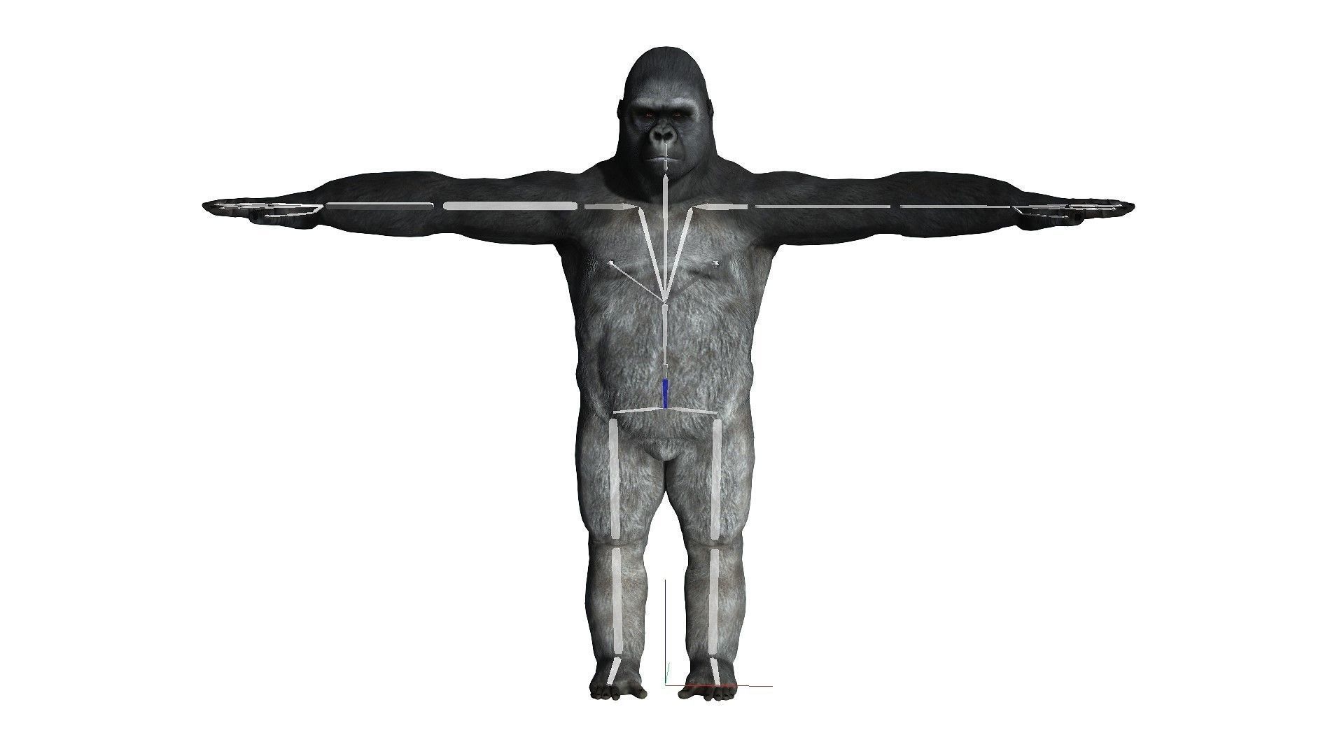 Gorilla Rigged and Blendshapes Low-poly 3D model_1