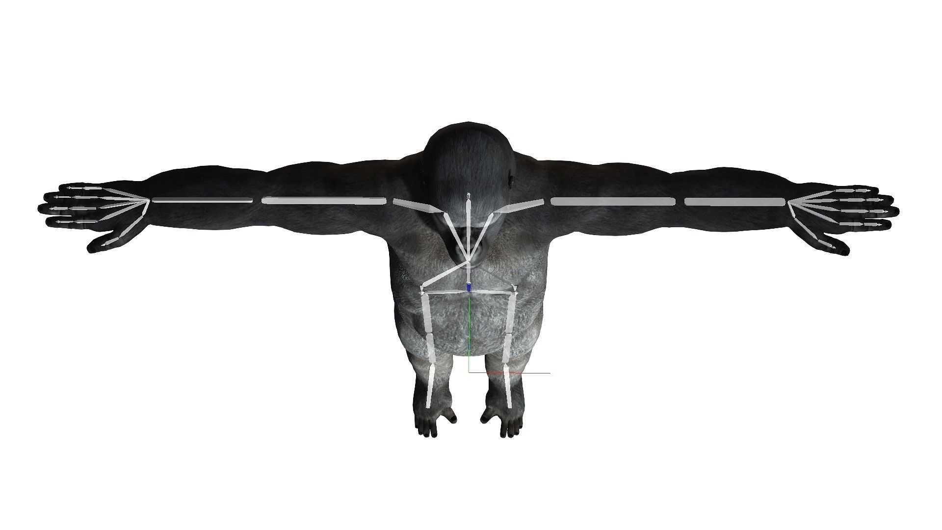 Gorilla Rigged and Blendshapes Low-poly 3D model_2