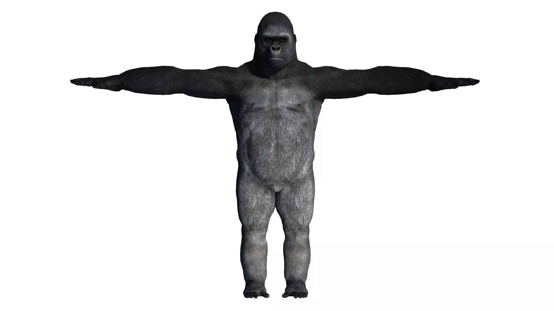 Gorilla Rigged and Blendshapes Low-poly 3D model_0