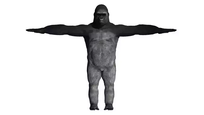 Gorilla Rigged and Blendshapes Low-poly 3D model
