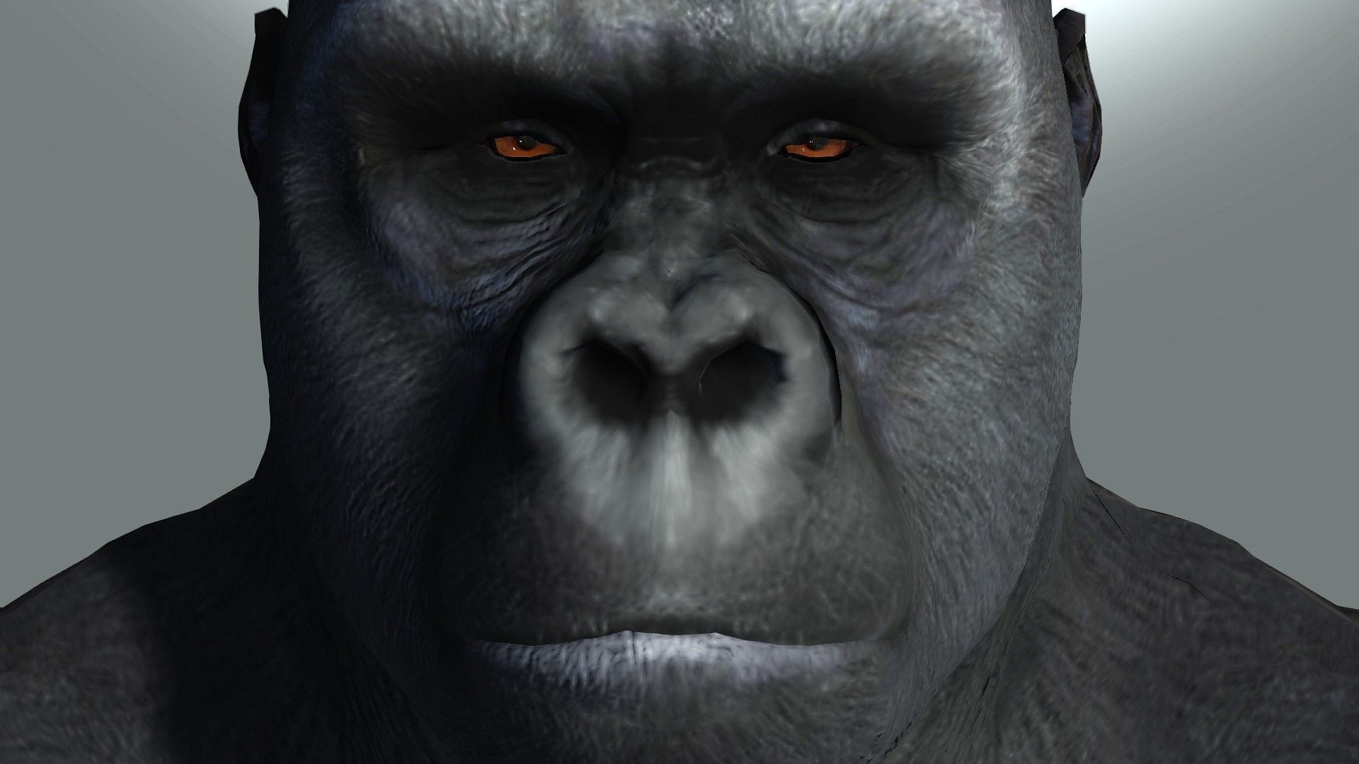 Gorilla Rigged and Blendshapes Low-poly 3D model_10