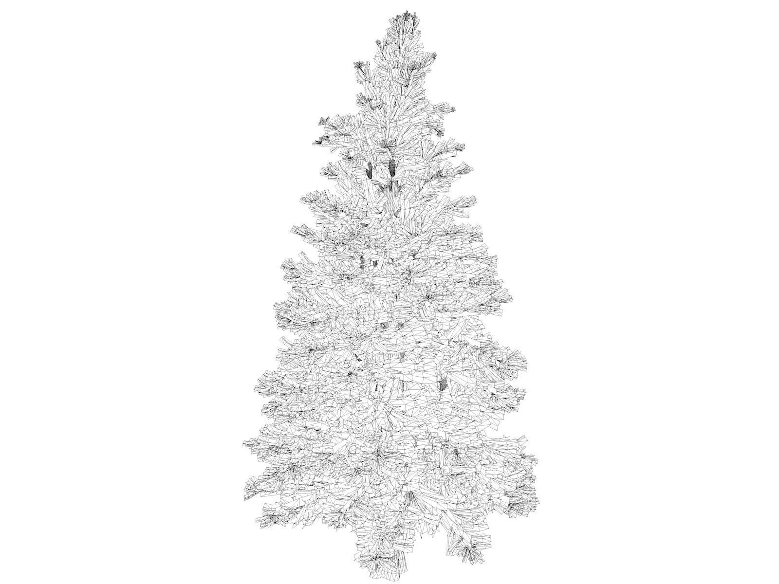 Norway Spruce Tree - 10 - 3D model_1