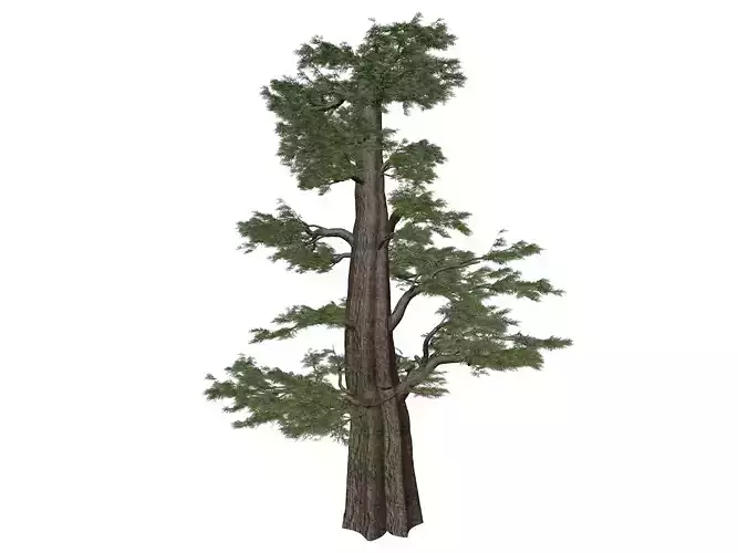 Western Juniper Tree - 07 - 3D model Western Juniper Tree - 07 - 3D model