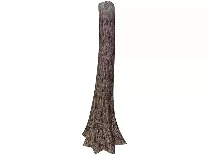 Western Red Cedar Tree Stump - 10 - 3D model