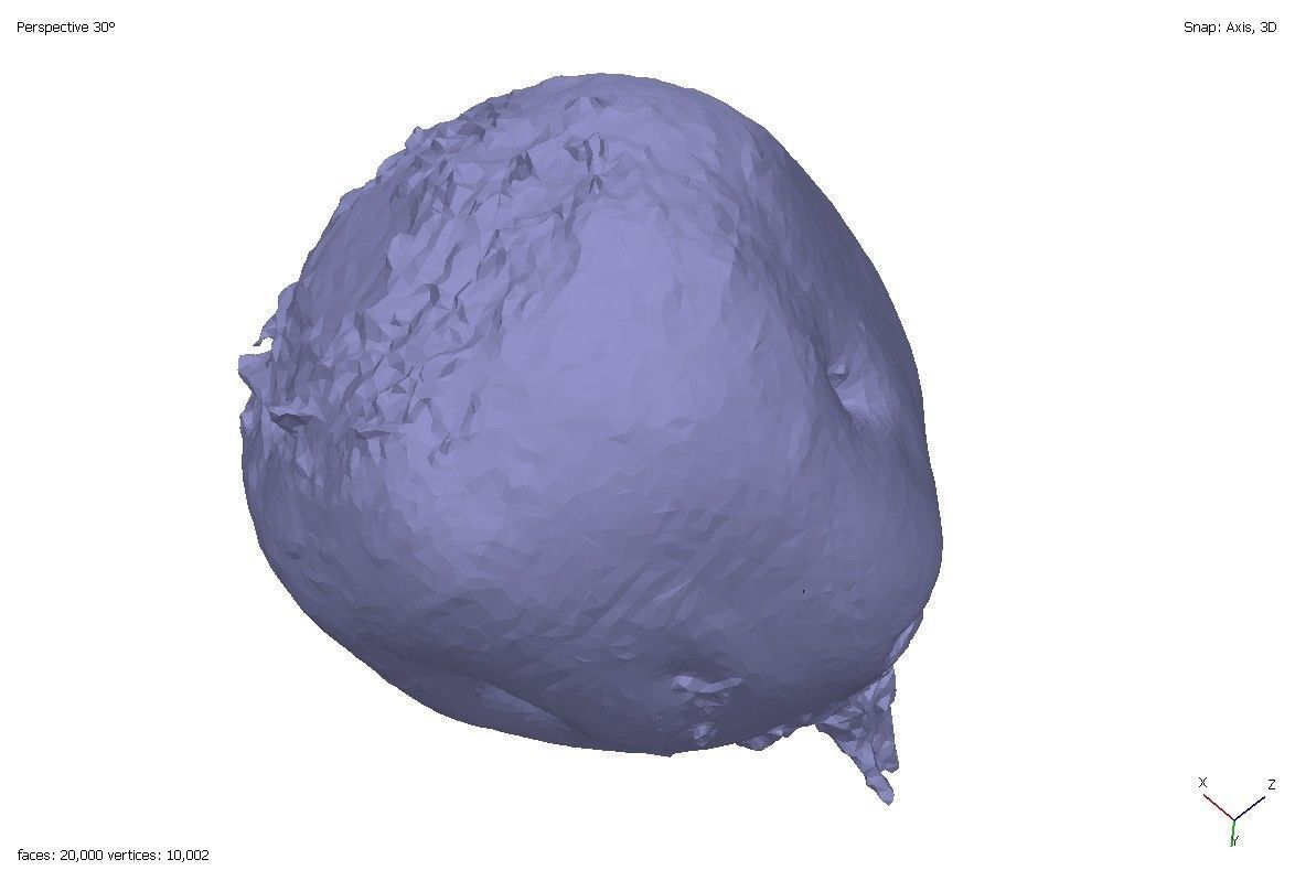 Two models of beets 3D model_1