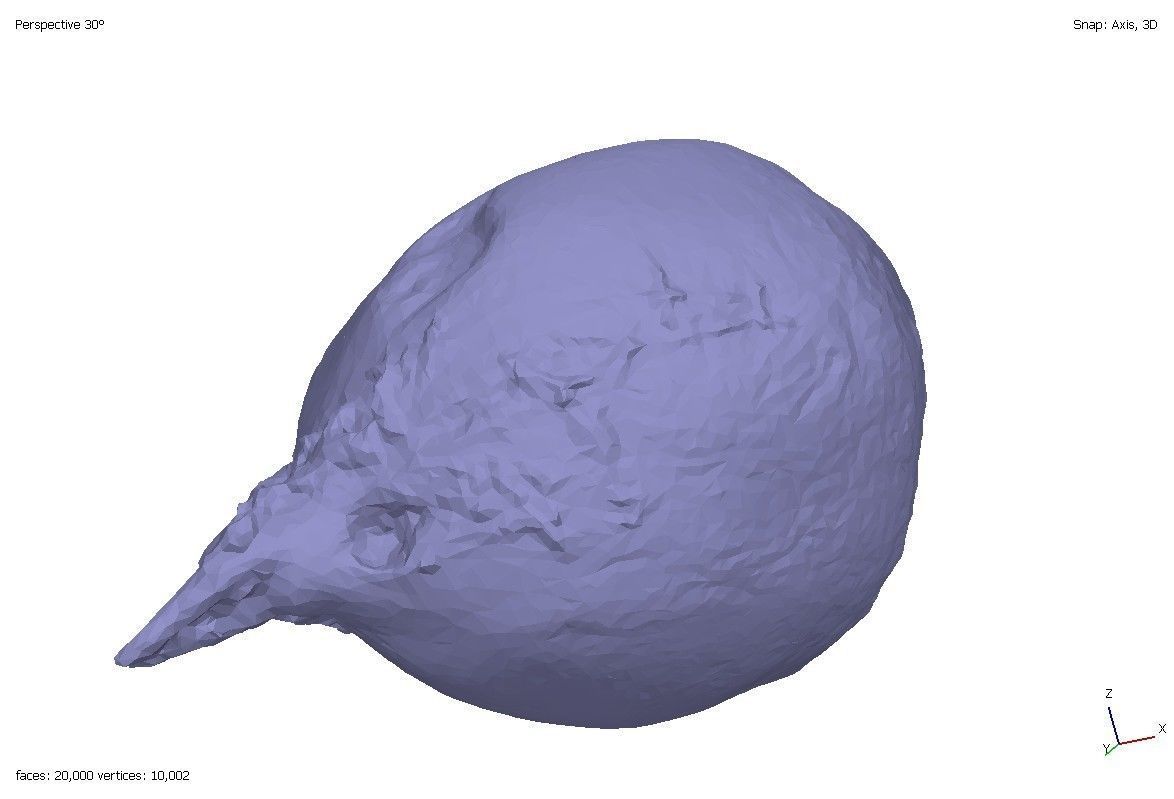 Two models of beets 3D model_3