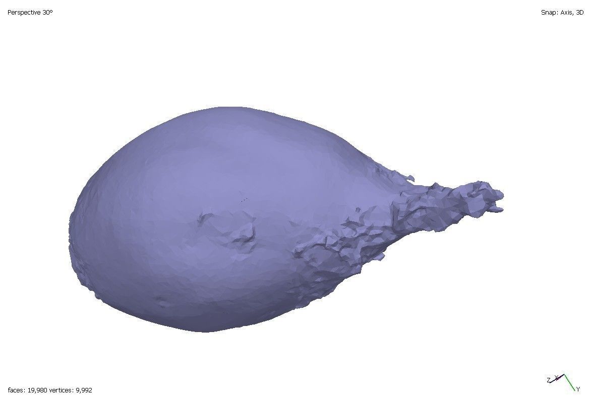 Two models of beets 3D model_7