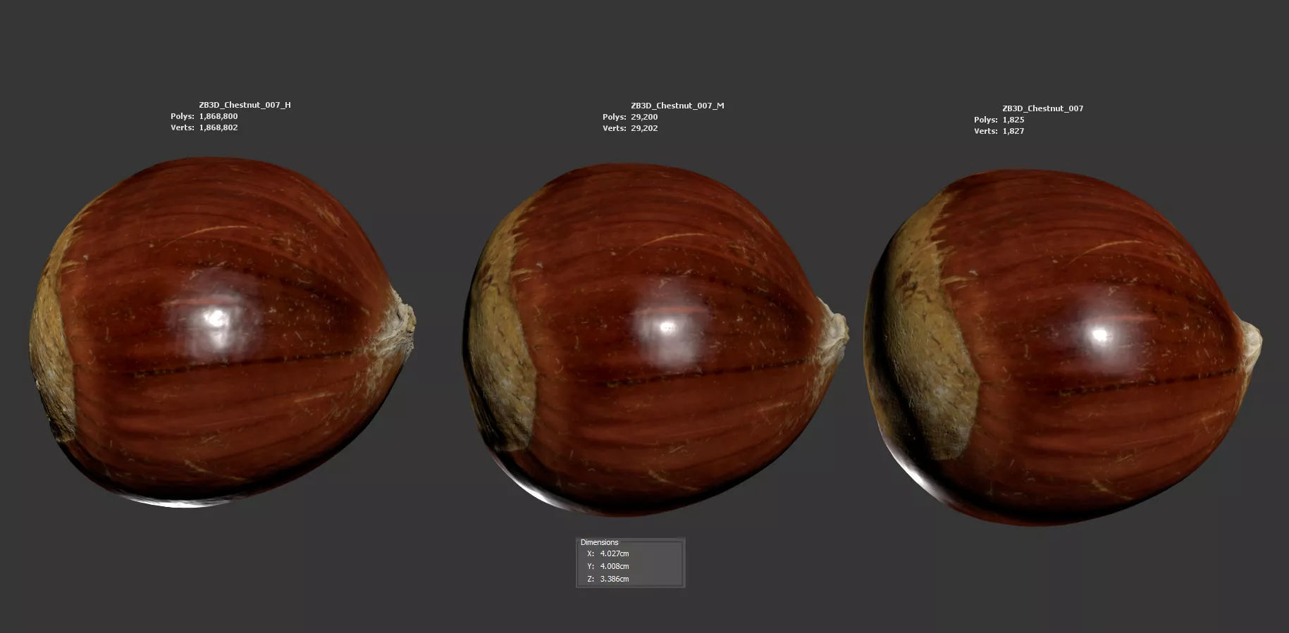 Chestnut 3D model_5