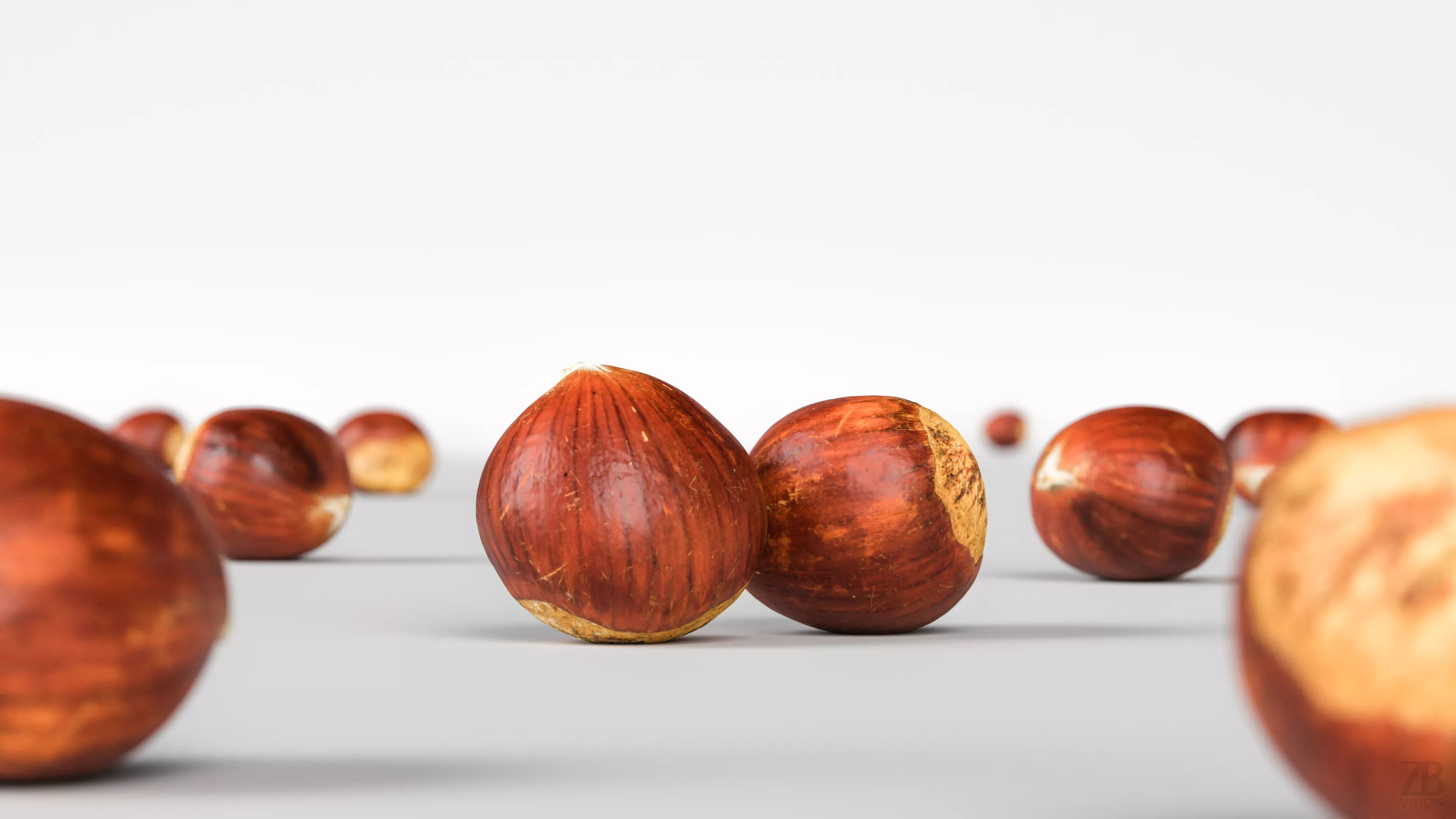 Chestnut 3D model_1