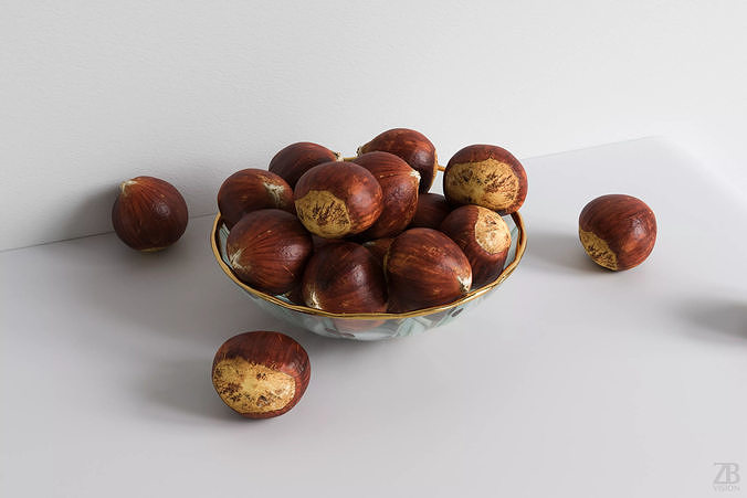 Chestnut 3D model