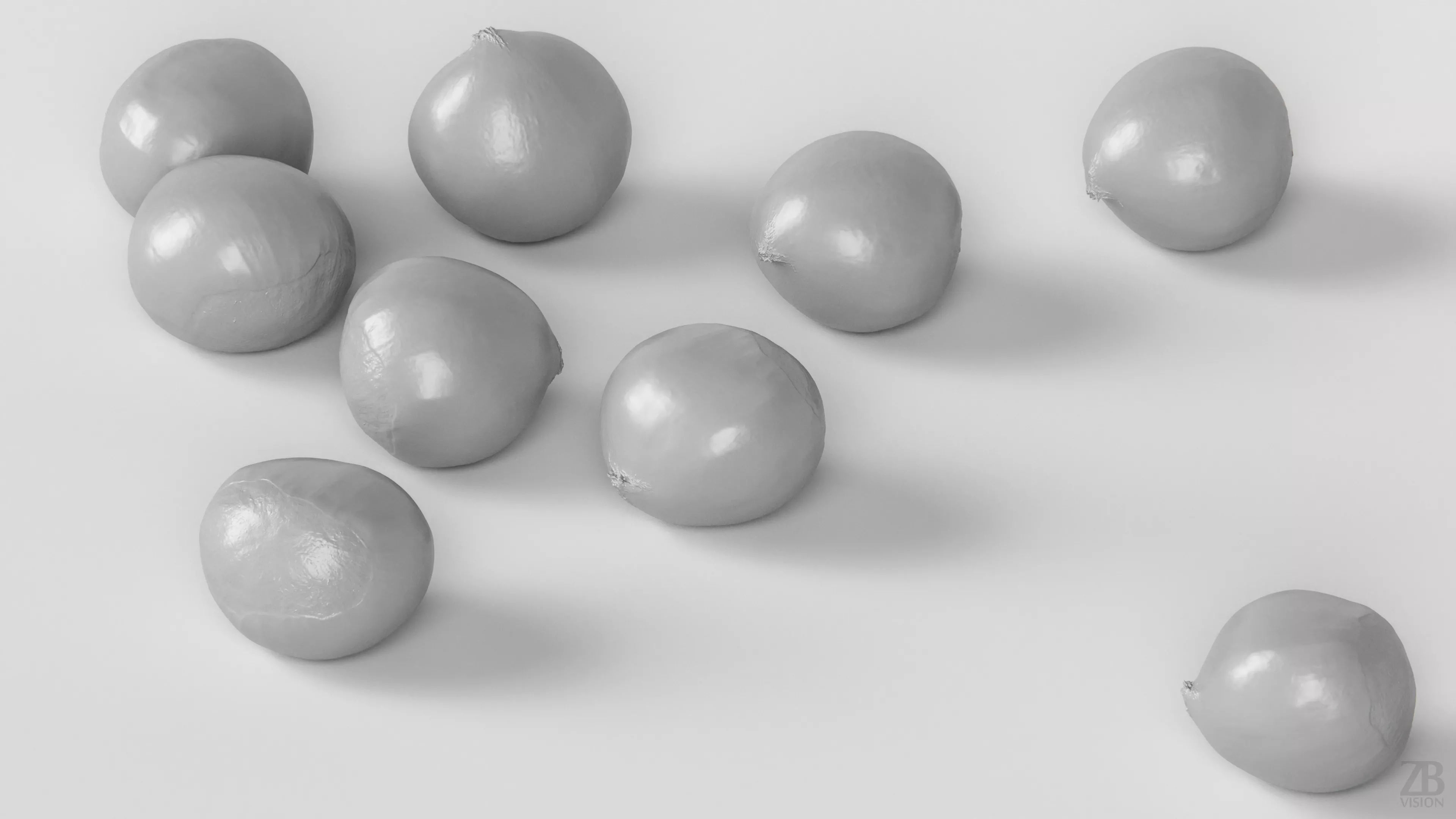 Chestnut 3D model_3