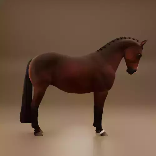 Dressage Warmblood Mare  3D print model