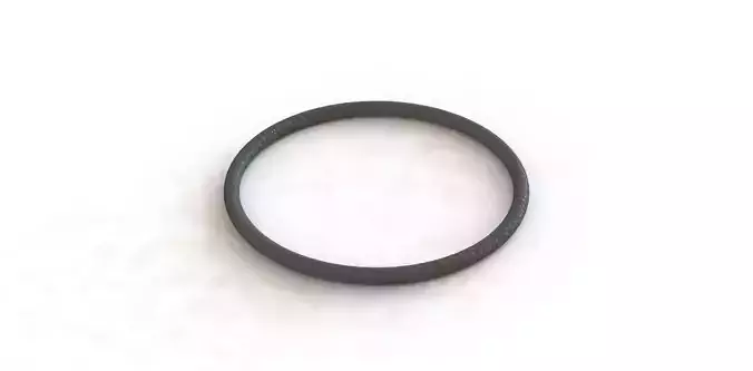 O Ring Vedabras 13033