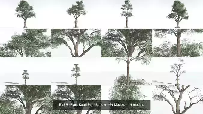 EVERYPlant Kauri Pine Bundle --64 Models-- 3D Model Collection