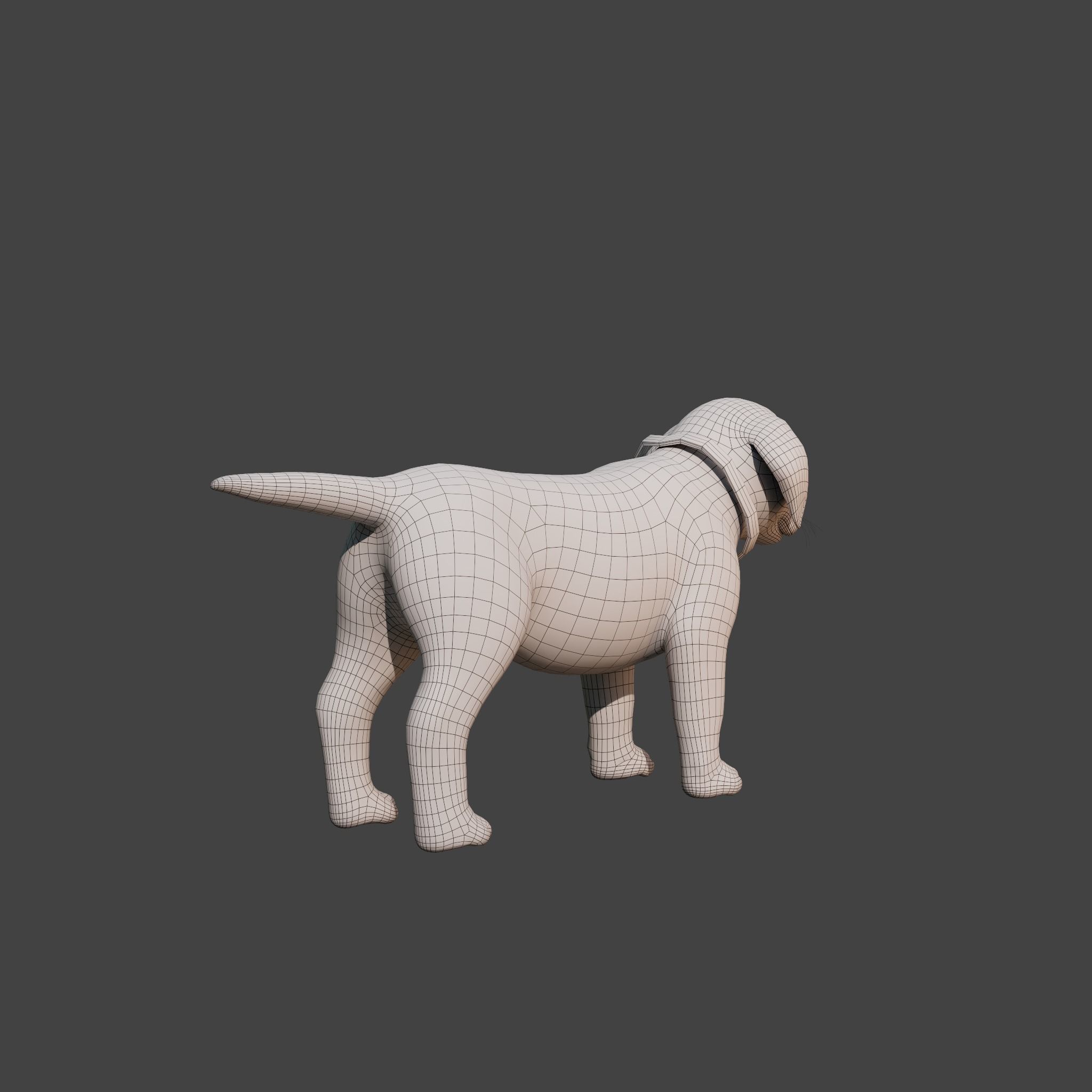 Cartoon Dog Rigged Low-poly 3D model_16
