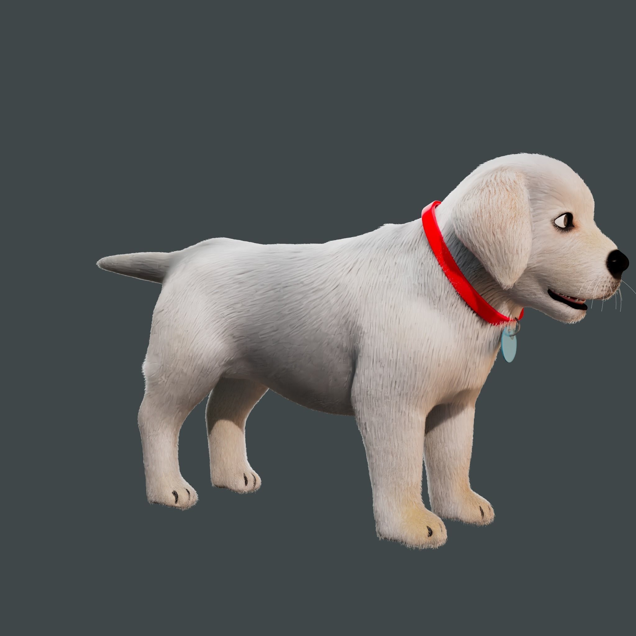 Cartoon Dog Rigged Low-poly 3D model_9