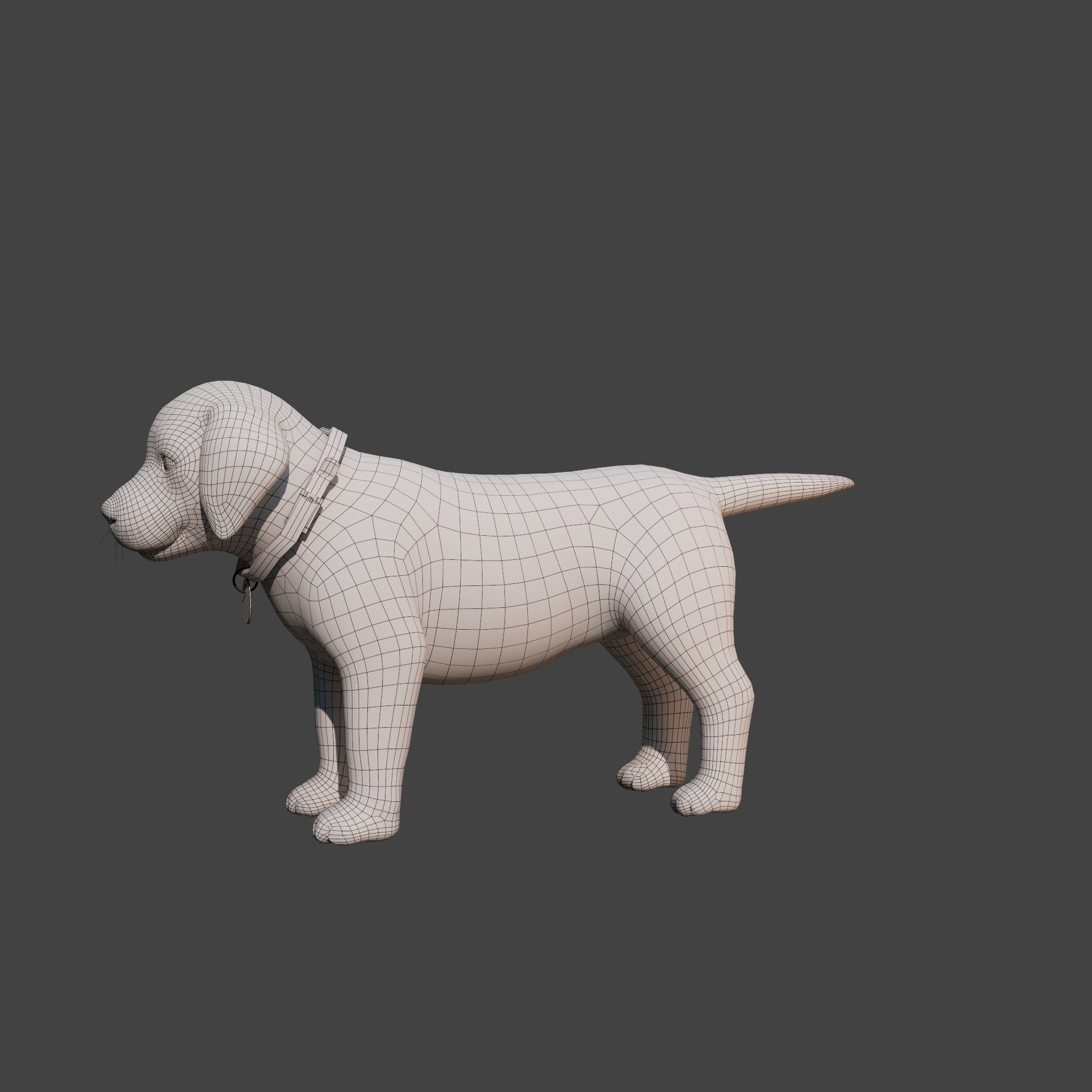 Cartoon Dog Rigged Low-poly 3D model_23