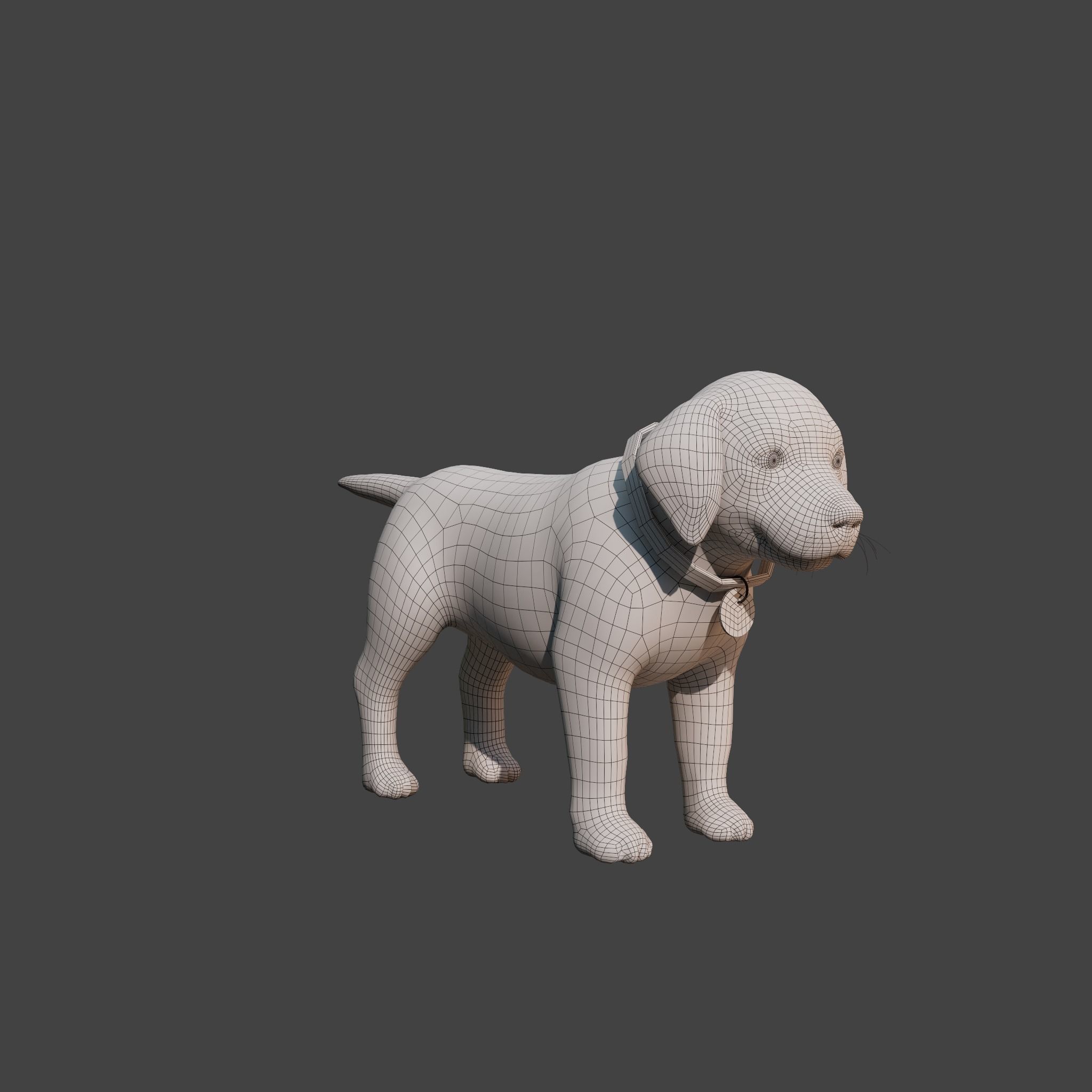 Cartoon Dog Rigged Low-poly 3D model_21