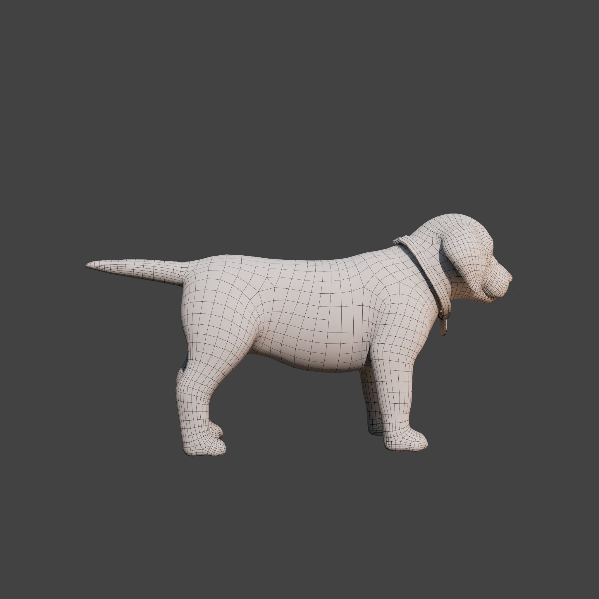 Cartoon Dog Rigged Low-poly 3D model_19