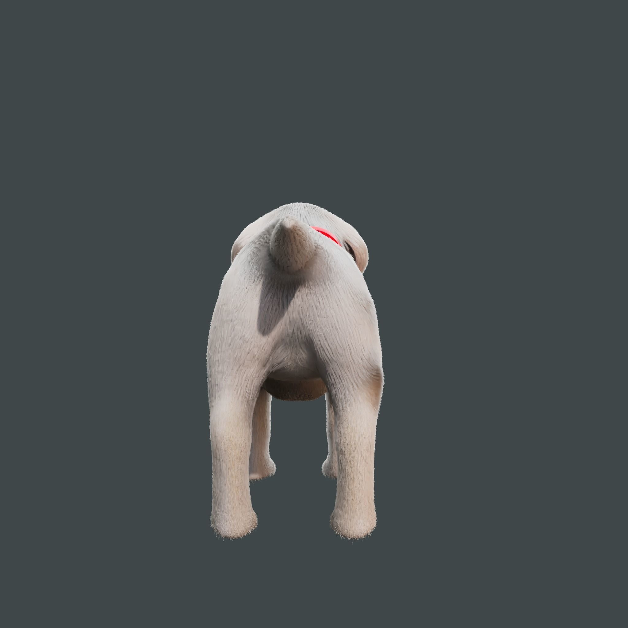 Cartoon Dog Rigged Low-poly 3D model_6