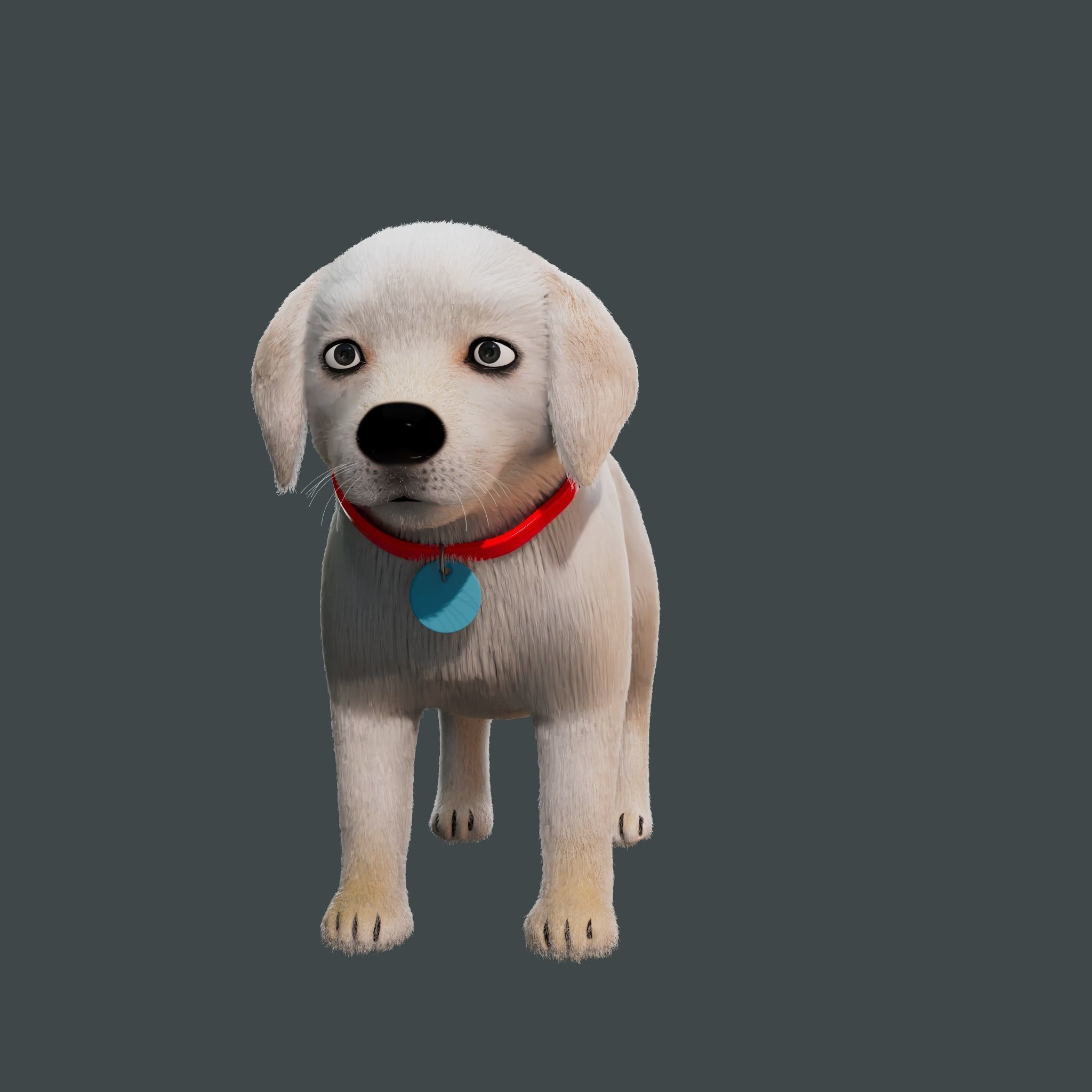 Cartoon Dog Rigged Low-poly 3D model_7