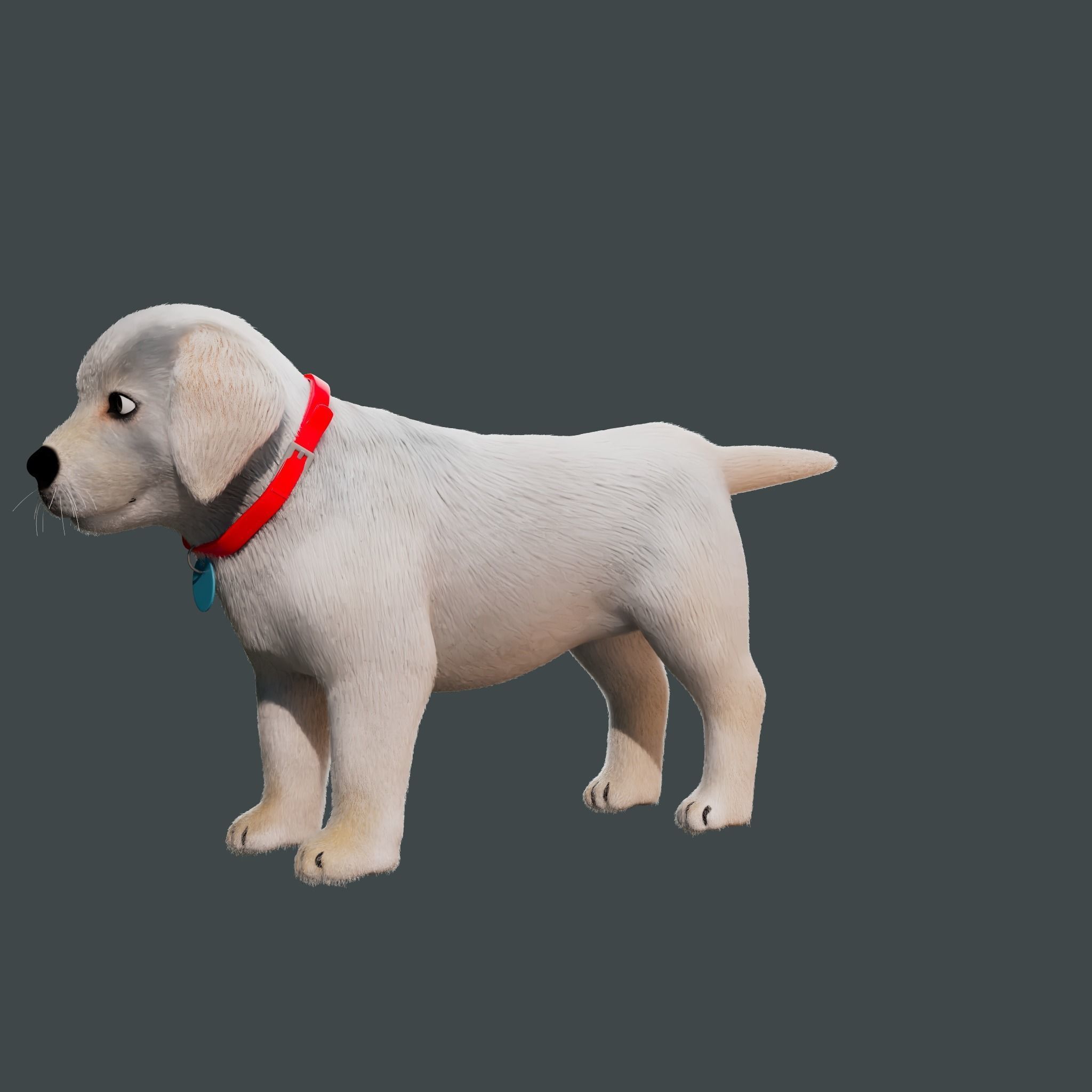 Cartoon Dog Rigged Low-poly 3D model_13
