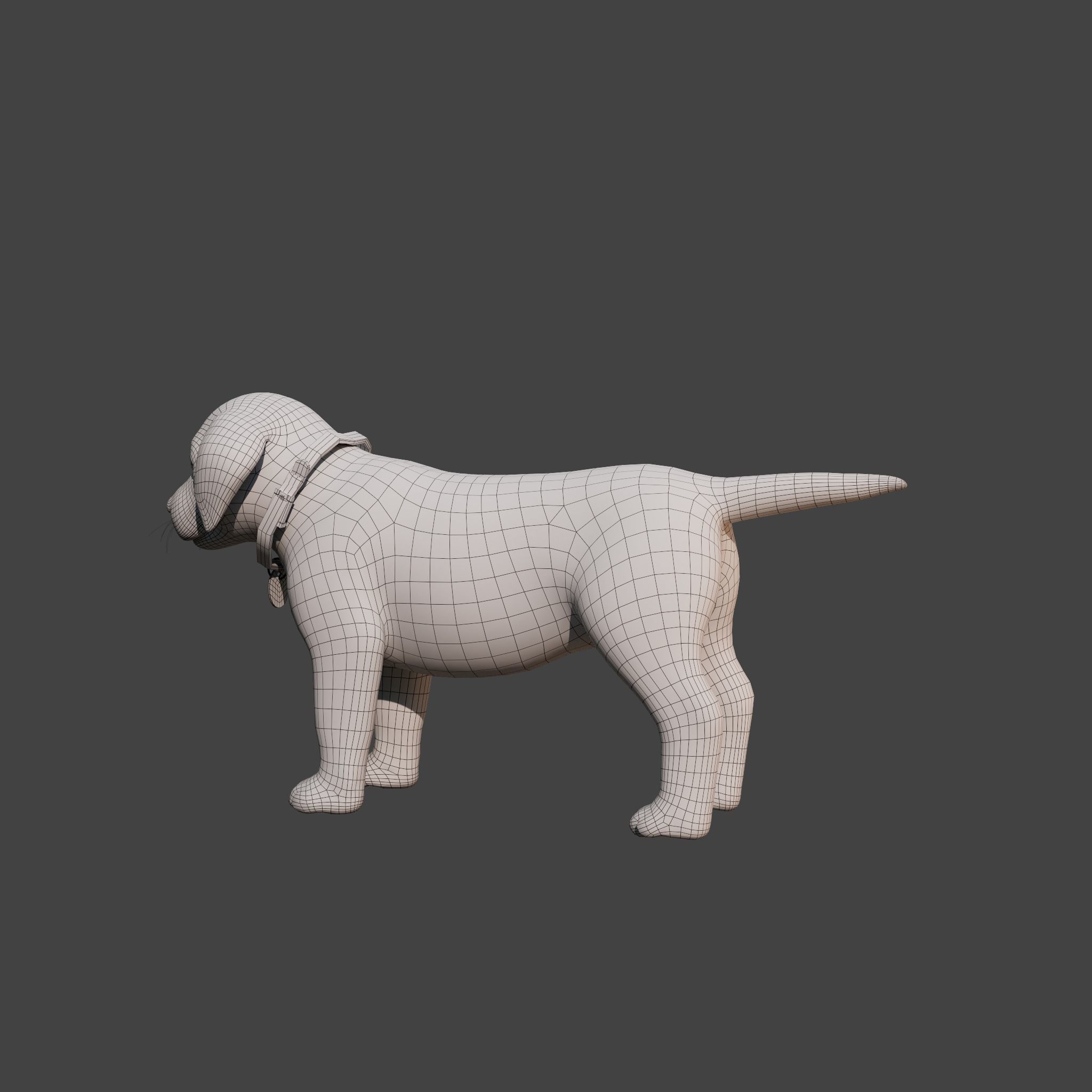 Cartoon Dog Rigged Low-poly 3D model_20