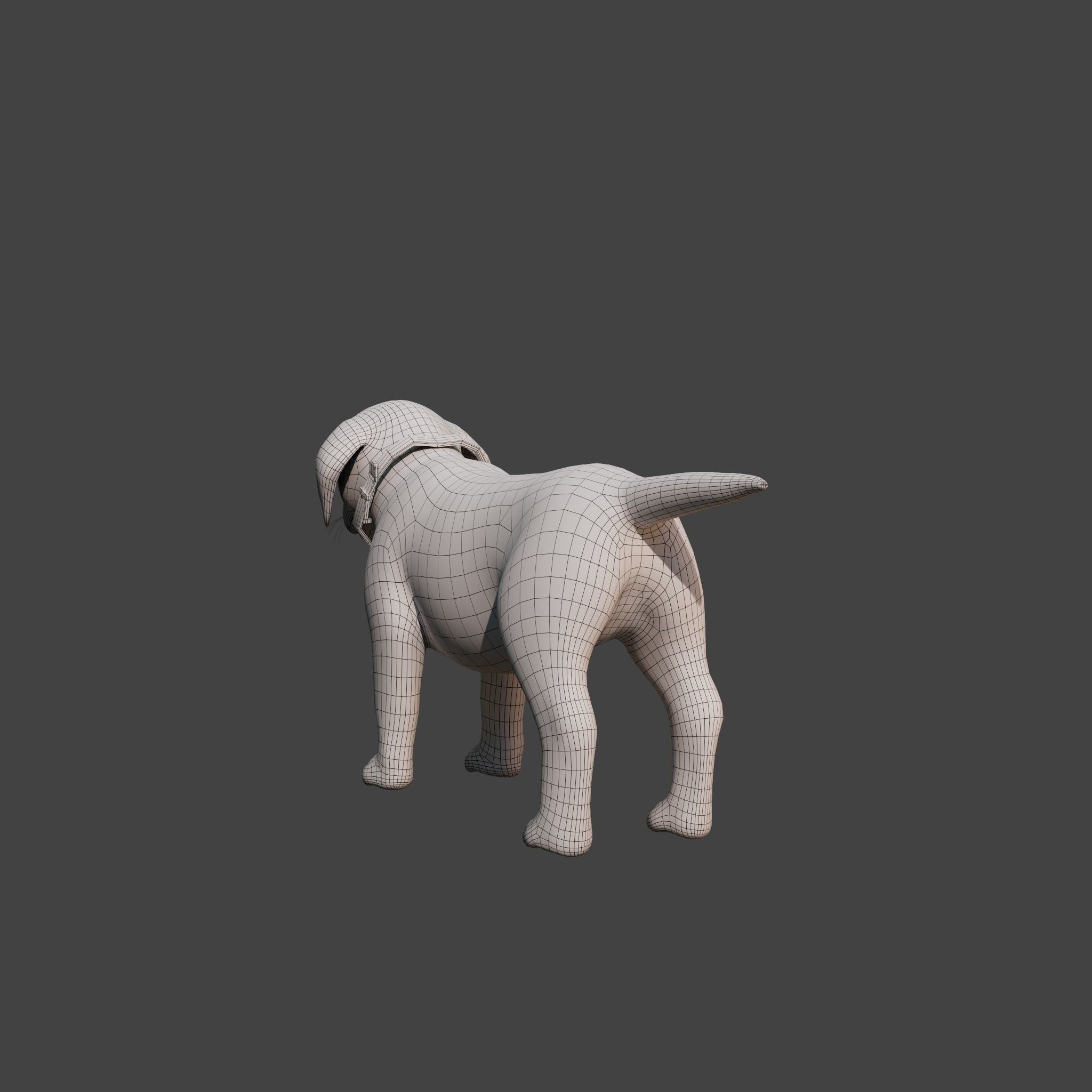 Cartoon Dog Rigged Low-poly 3D model_18