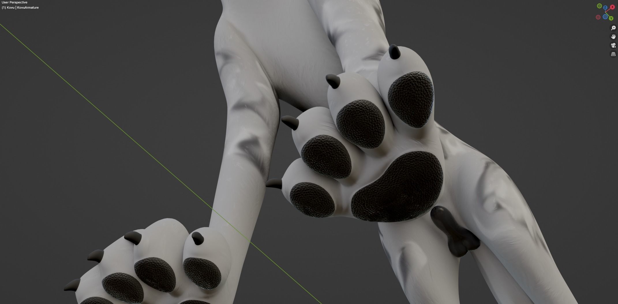 Kovu Wolf 3D model_46