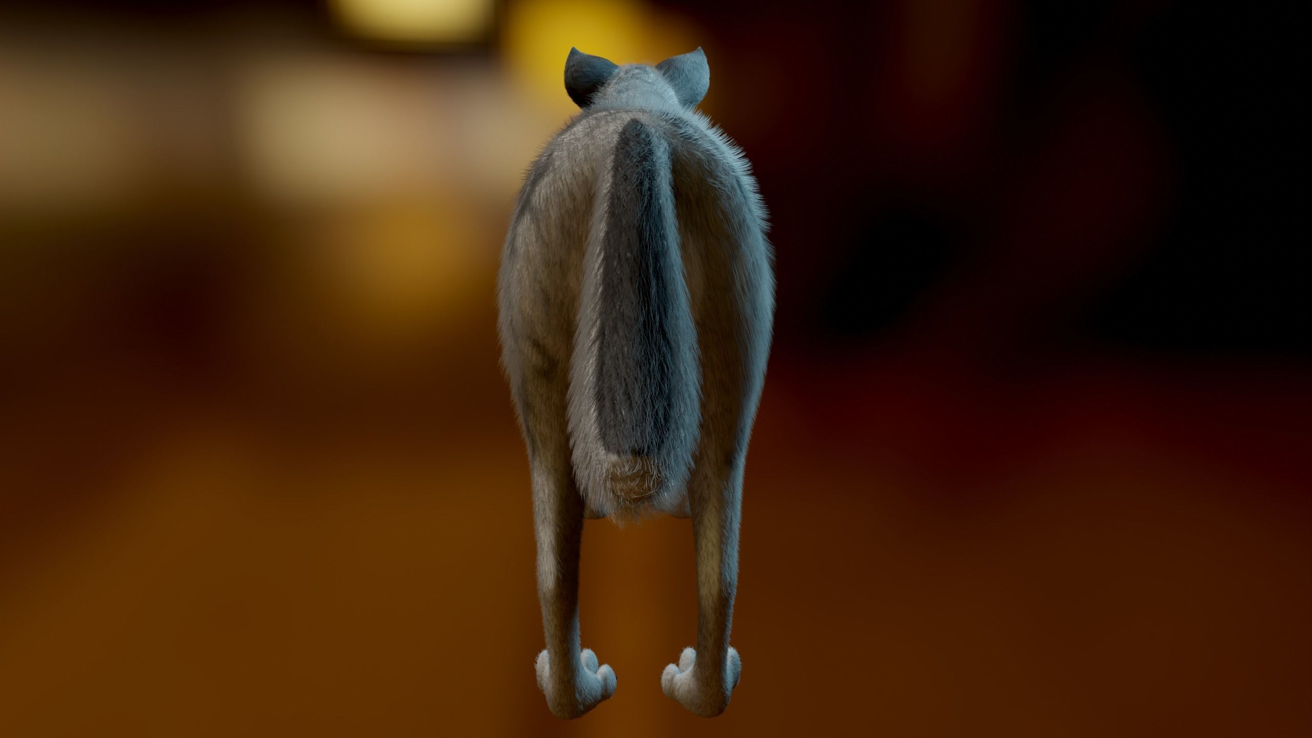 Kovu Wolf 3D model_7