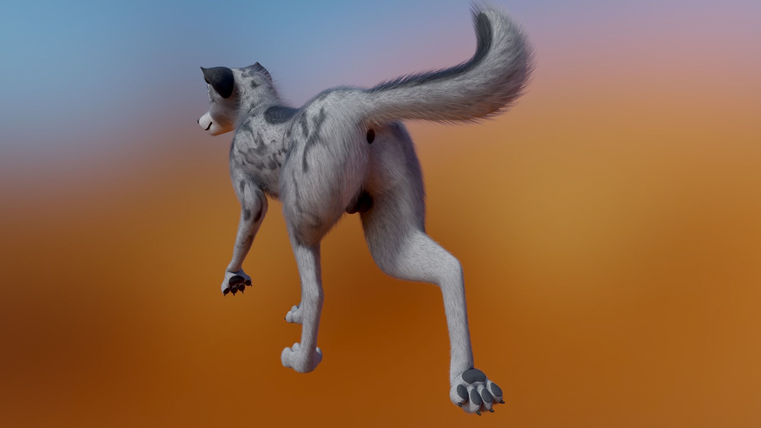 Kovu Wolf 3D model_17