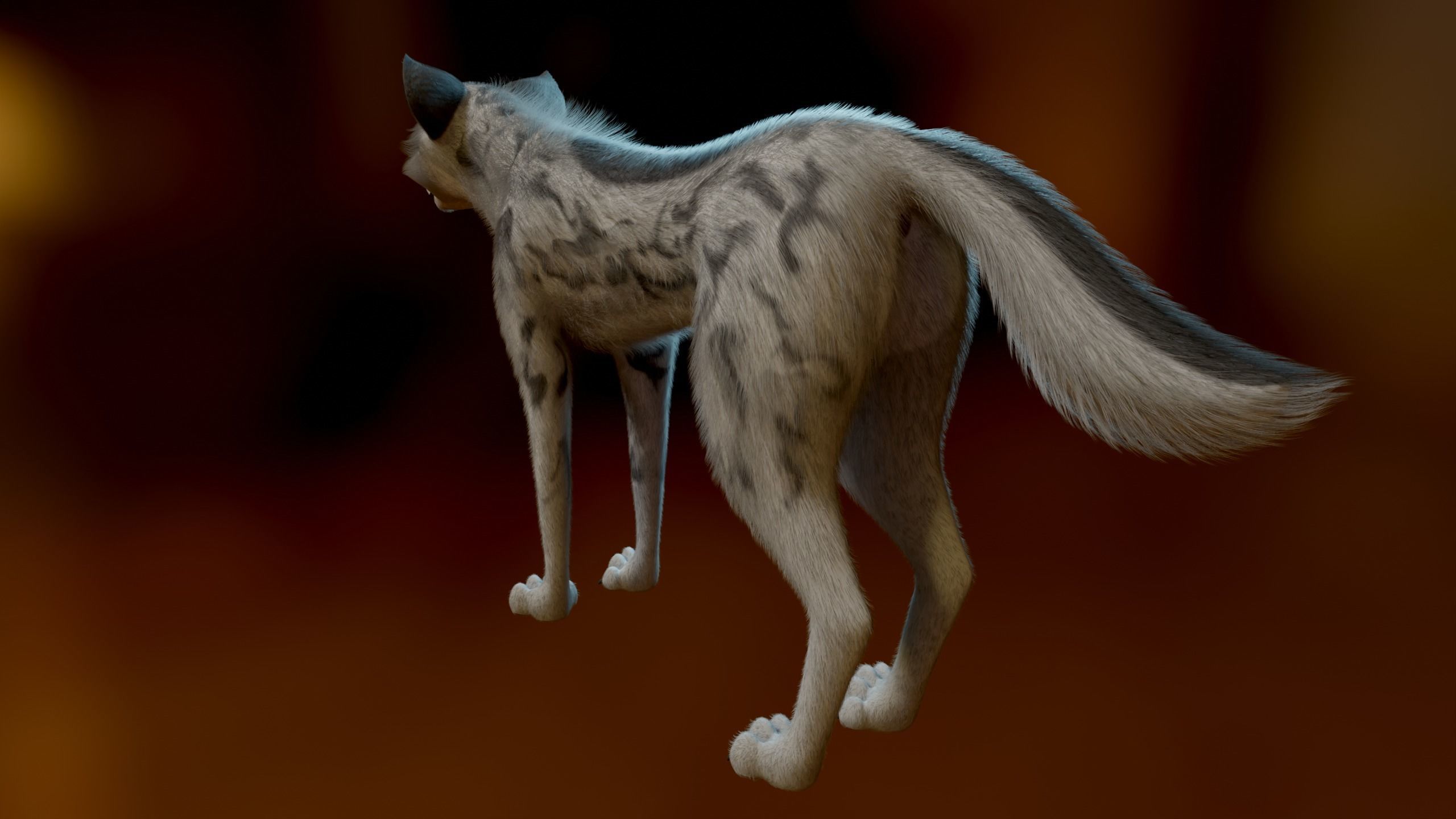 Kovu Wolf 3D model_6