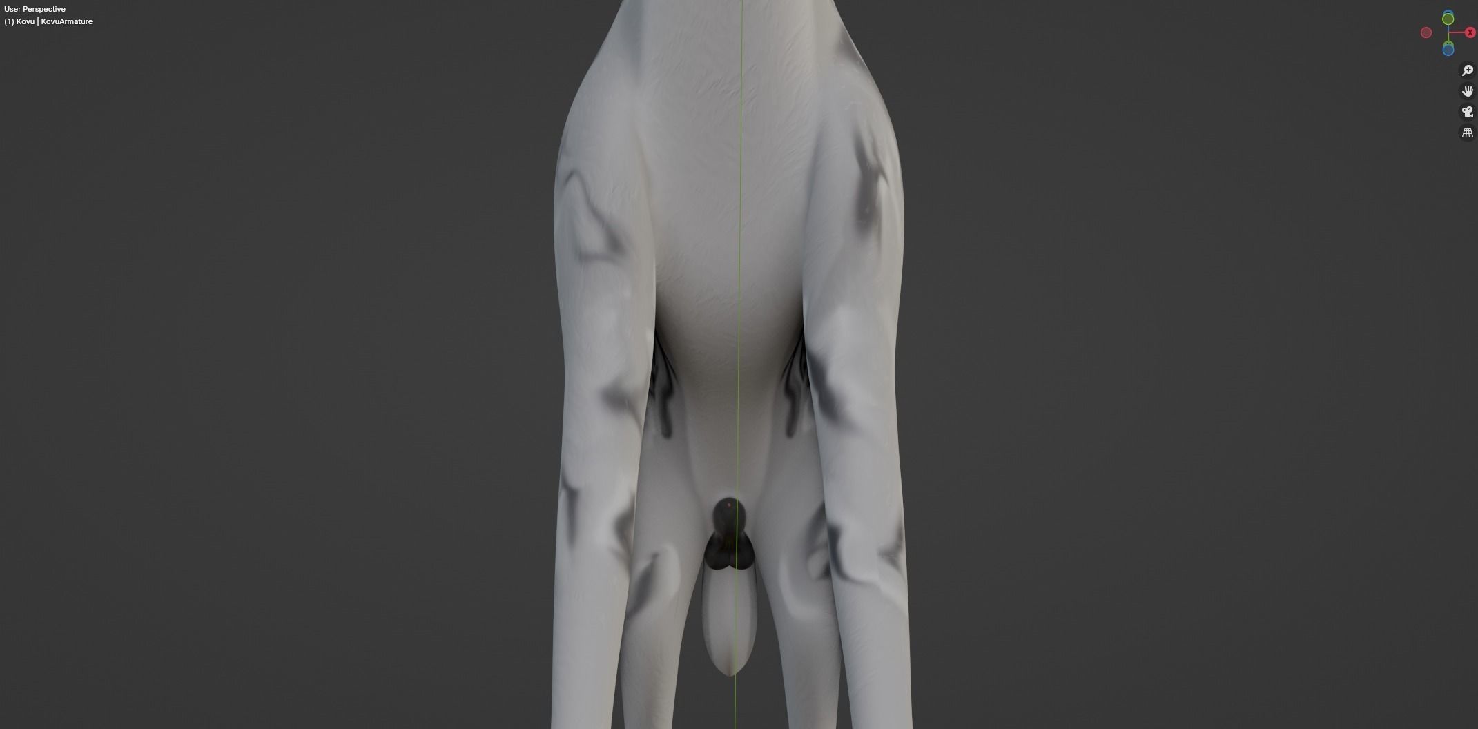 Kovu Wolf 3D model_44