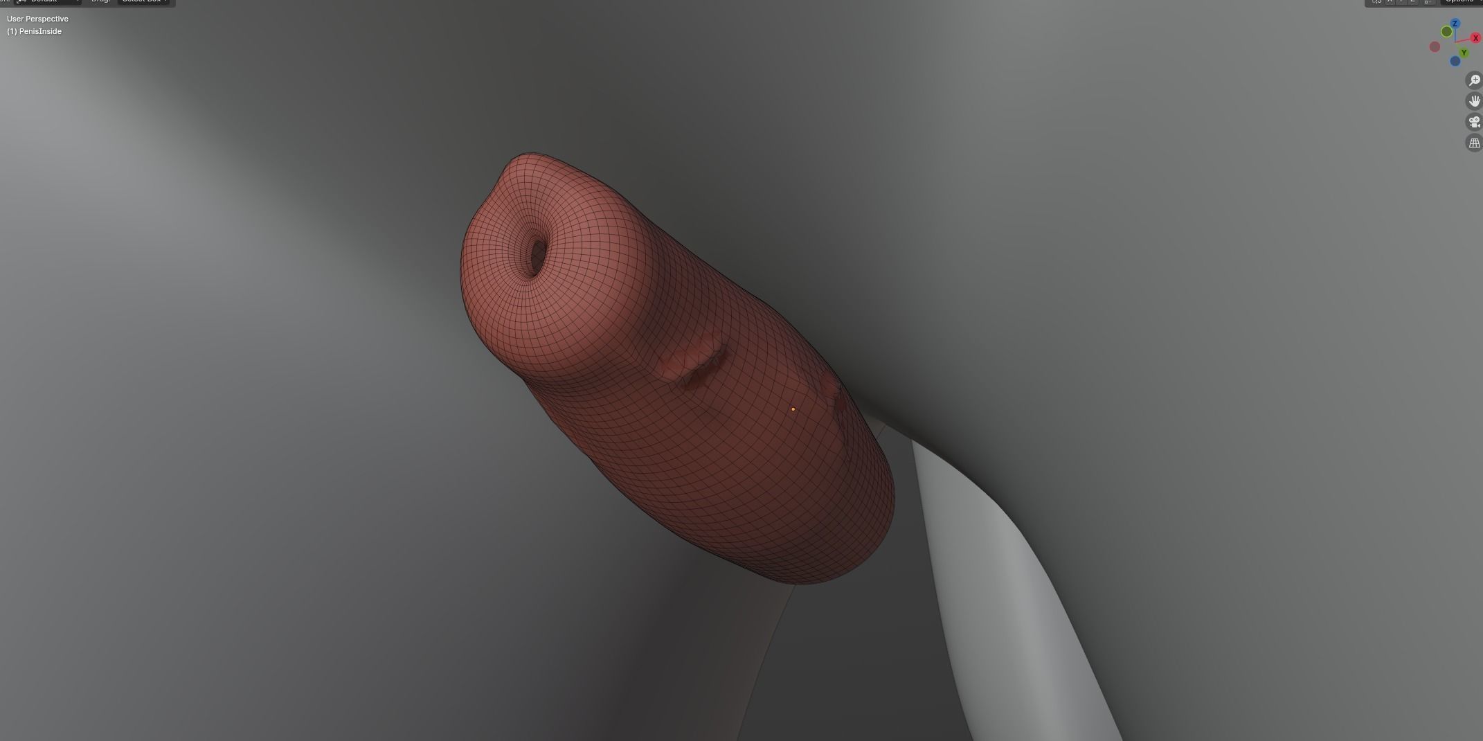 Kovu Wolf 3D model_55