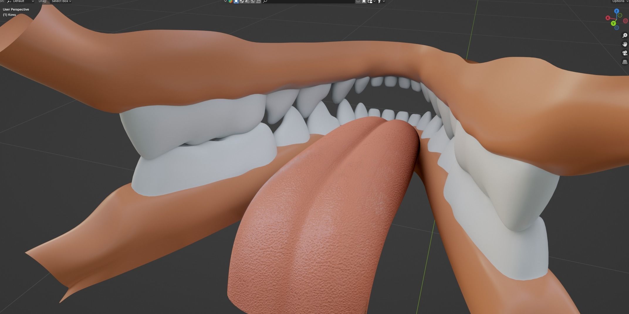 Kovu Wolf 3D model_57