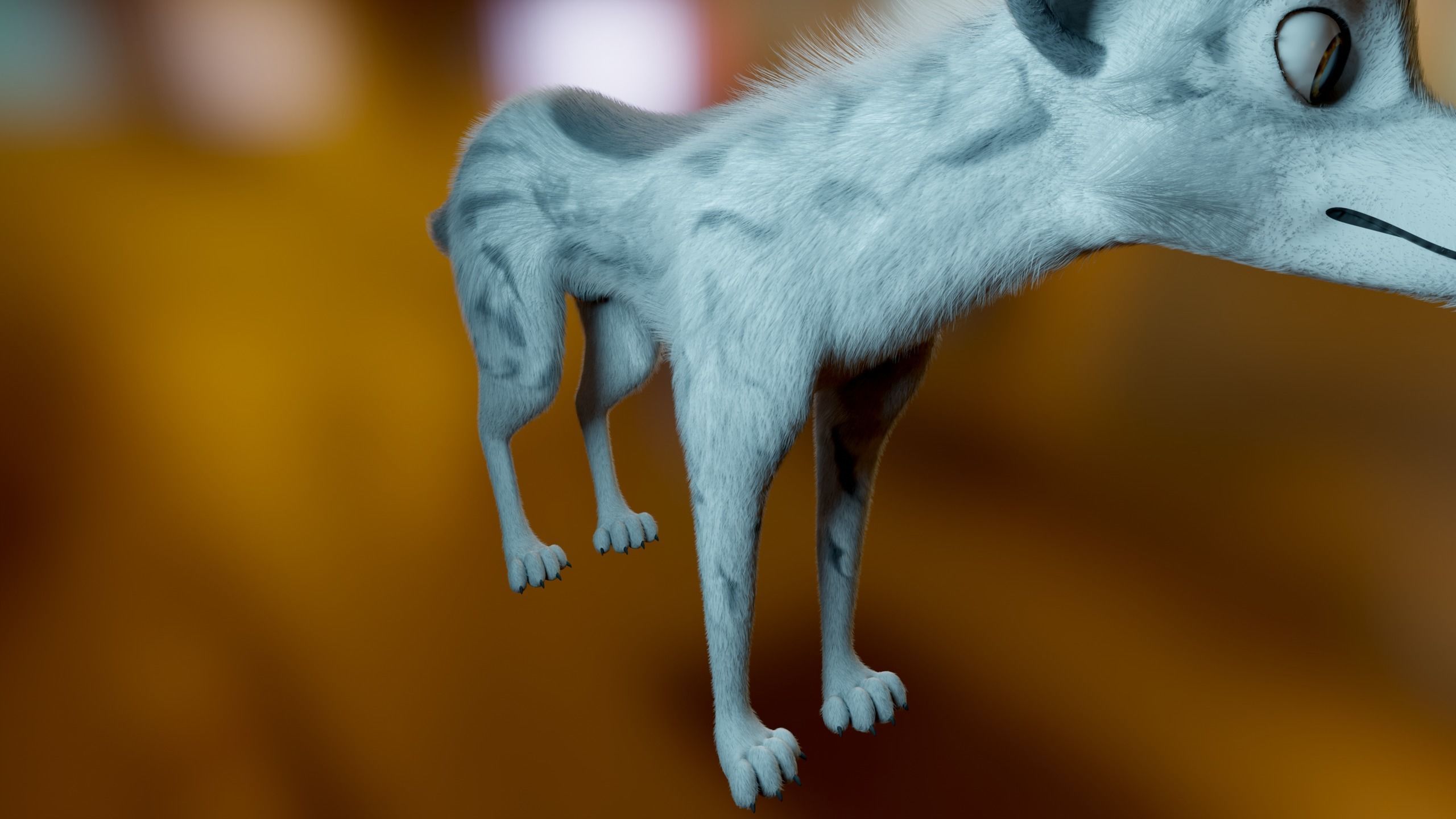 Kovu Wolf 3D model_10