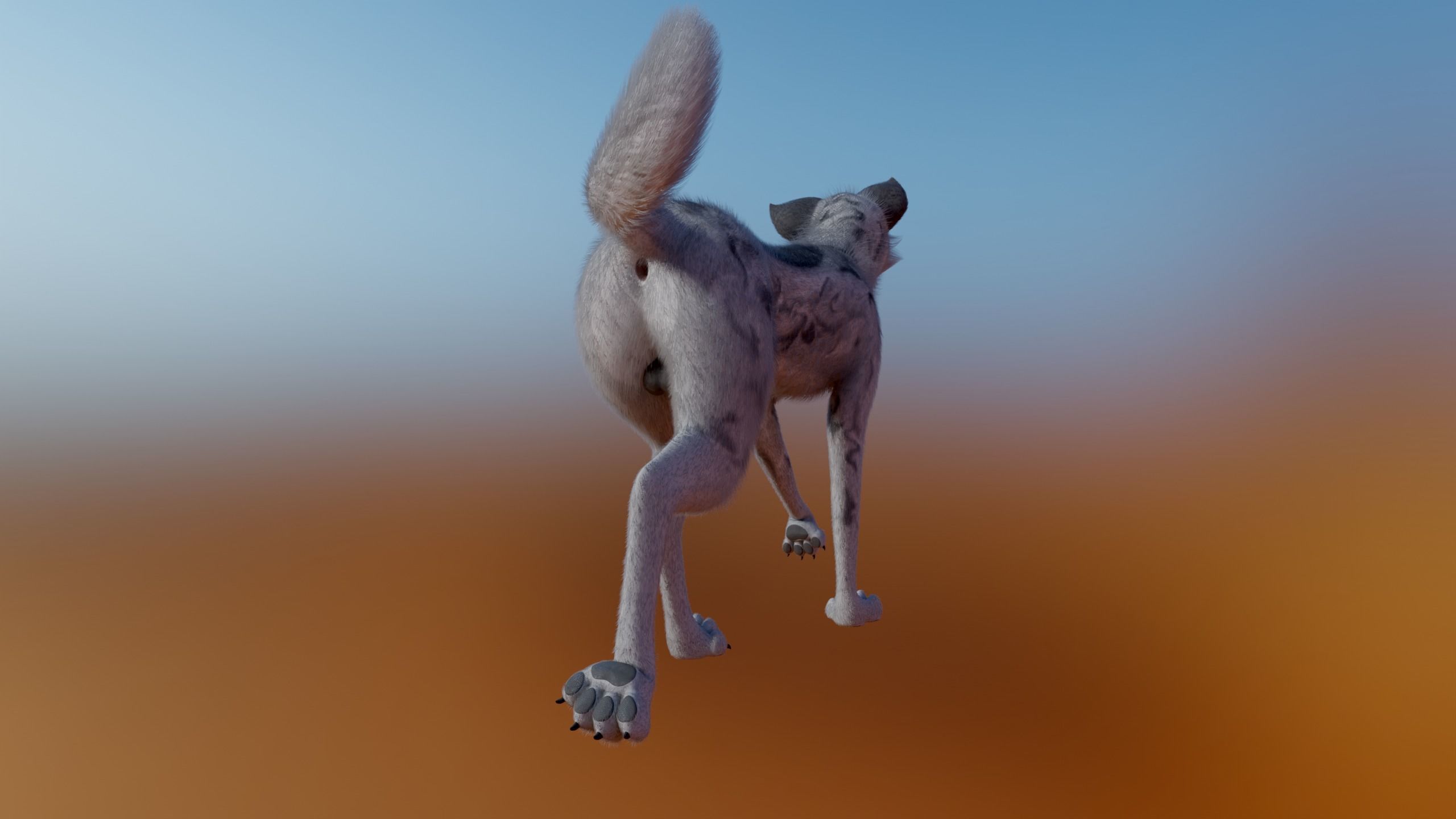 Kovu Wolf 3D model_18