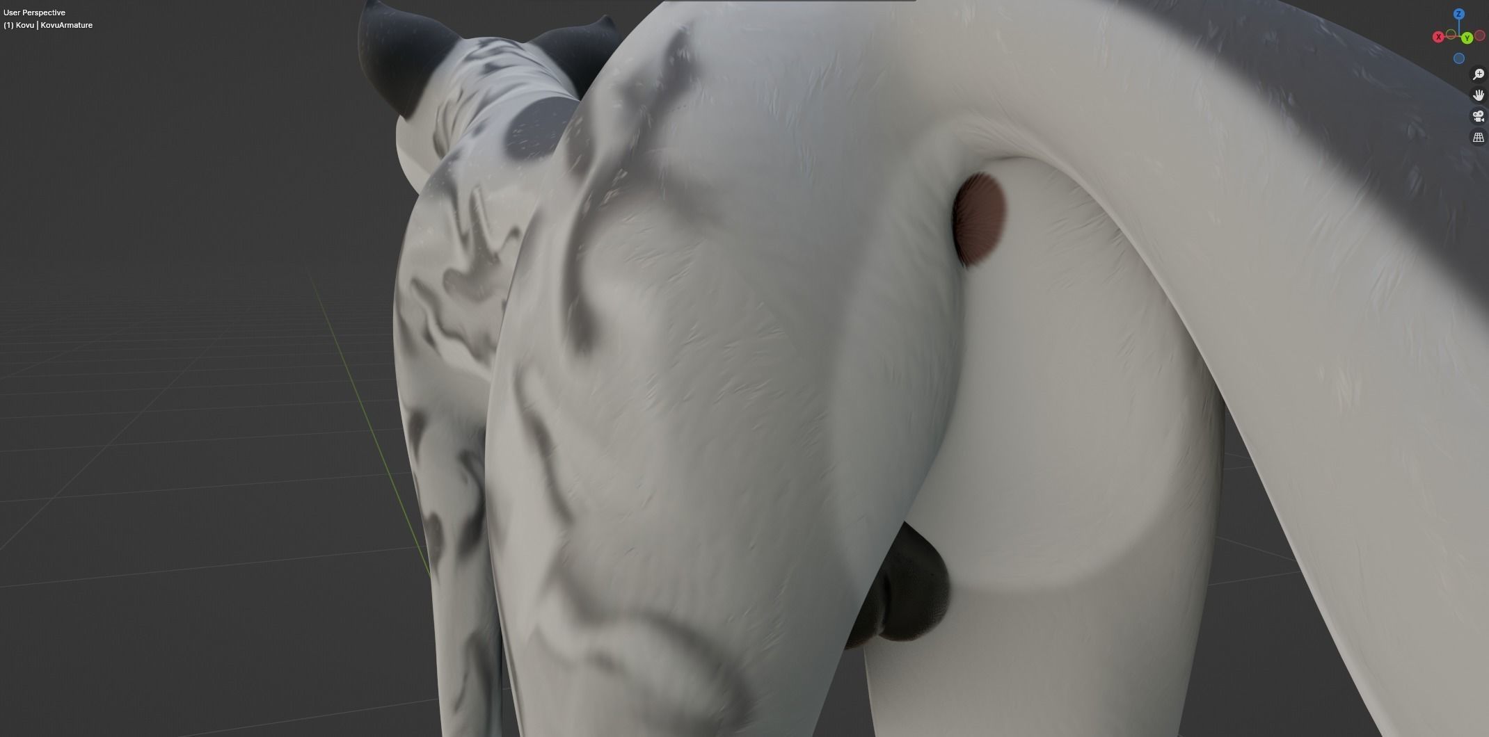 Kovu Wolf 3D model_42