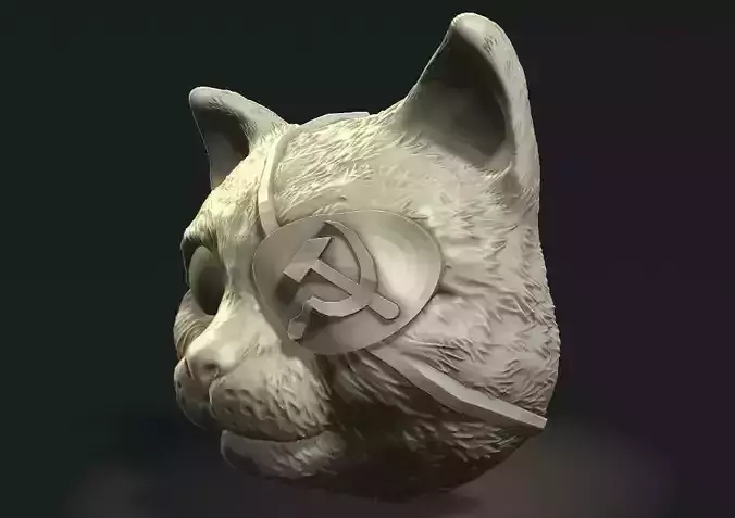 Cat Comunist