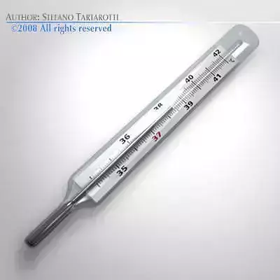Thermometer 3D model