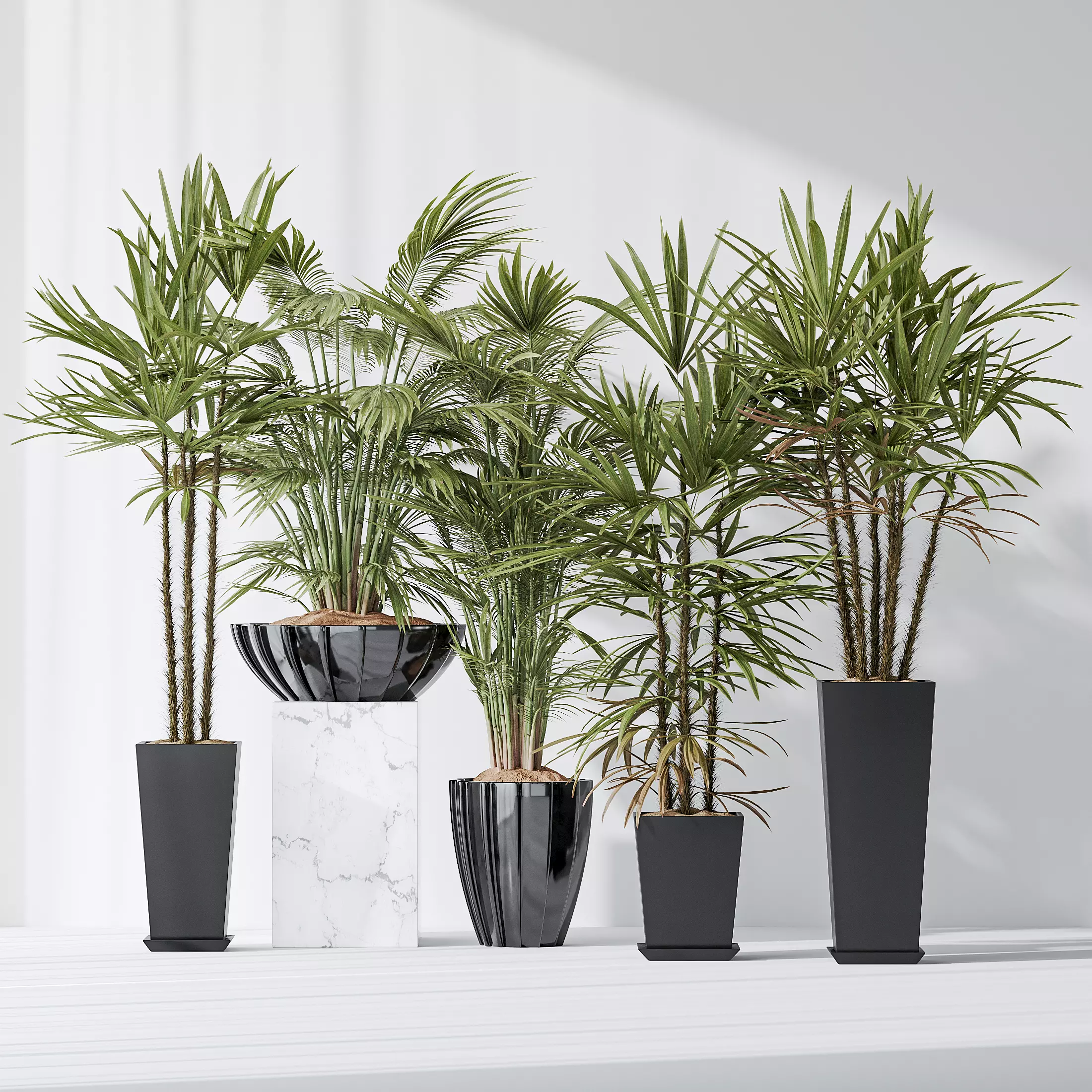 Areca Majesty Cat Reed Palm and Rhapis Excelsa Lady Palm vases 3D model_0