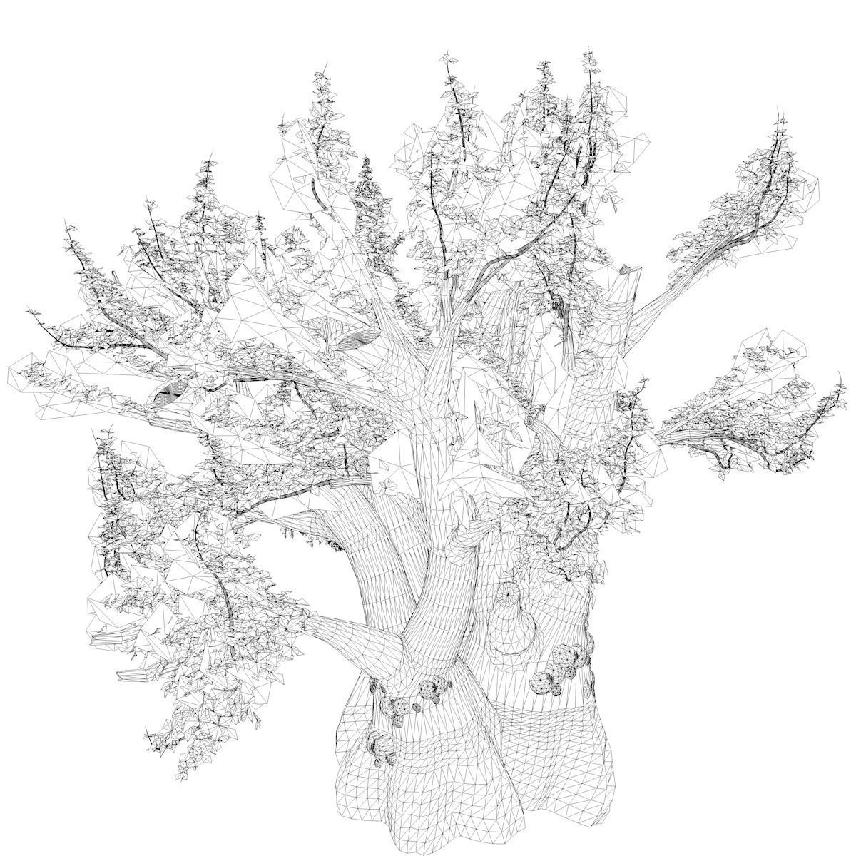 African Baobab Tree - 01 - 3D model_2