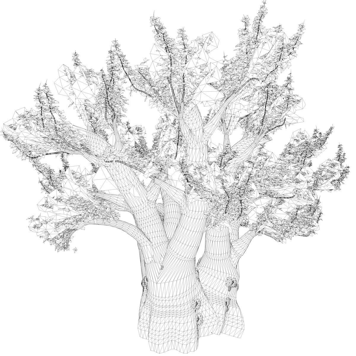 African Baobab Tree - 03 - 3D model_2