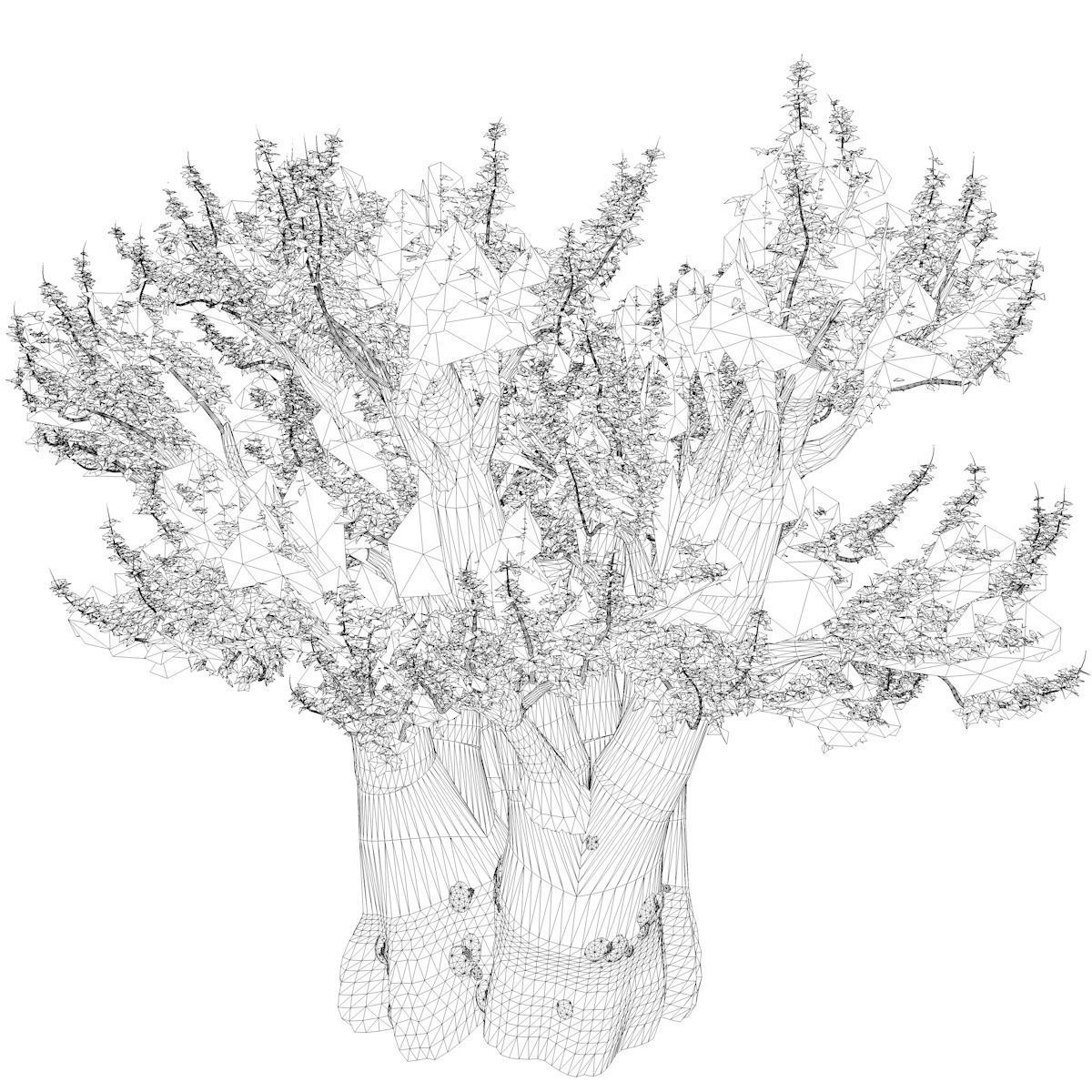African Baobab Tree - 07 - 3D model_2