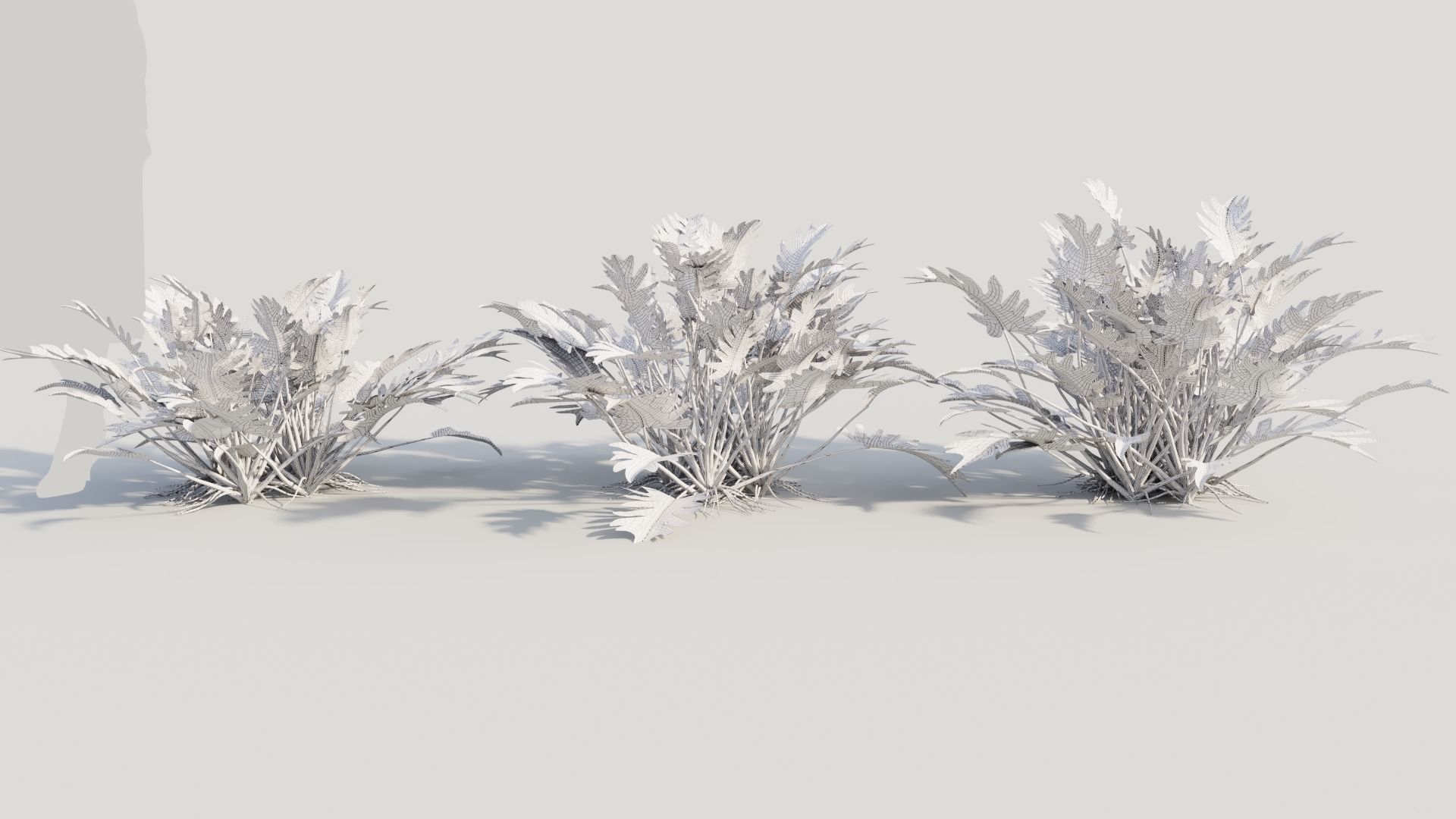 Philodendron xanadu b 3D model_8