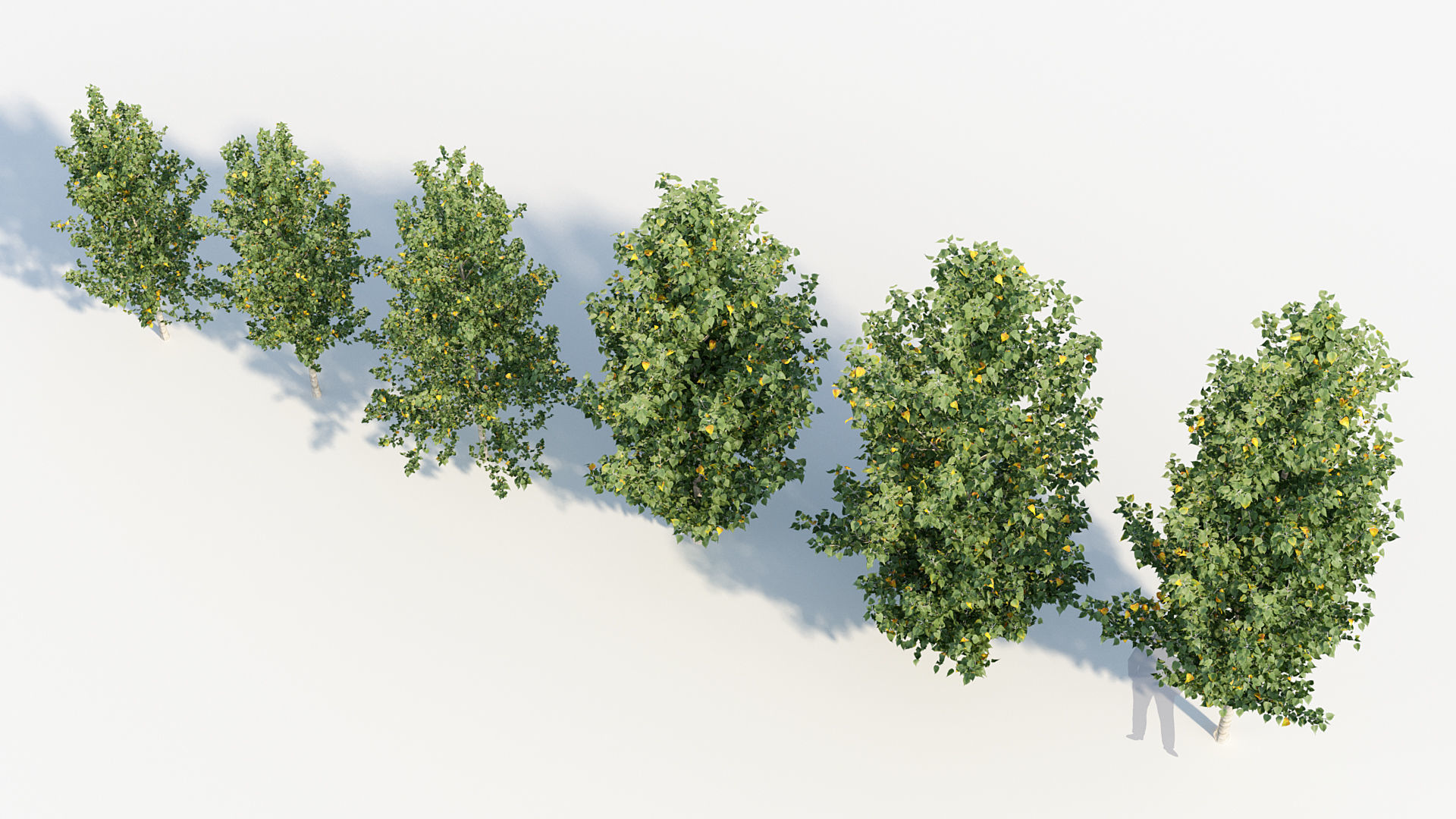 Package 08 Small Trees Collection 3D model_48