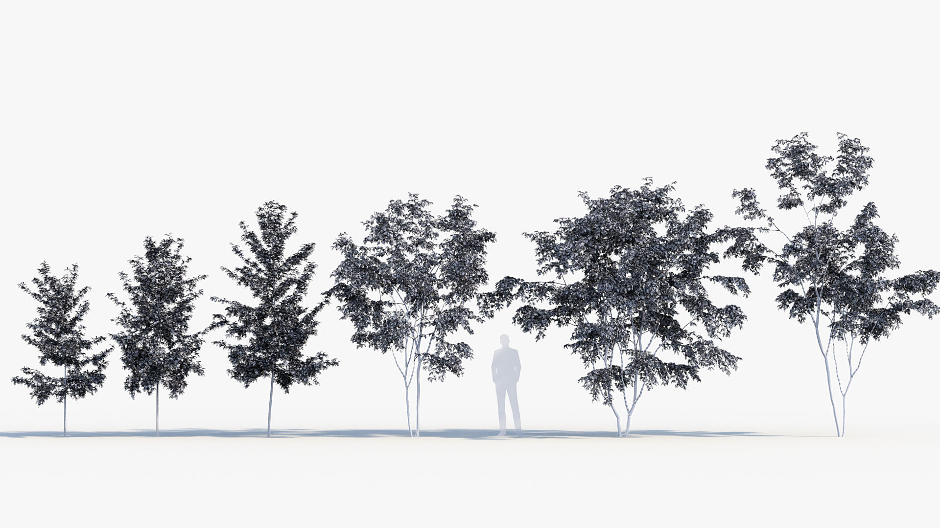 Package 08 Small Trees Collection 3D model_41
